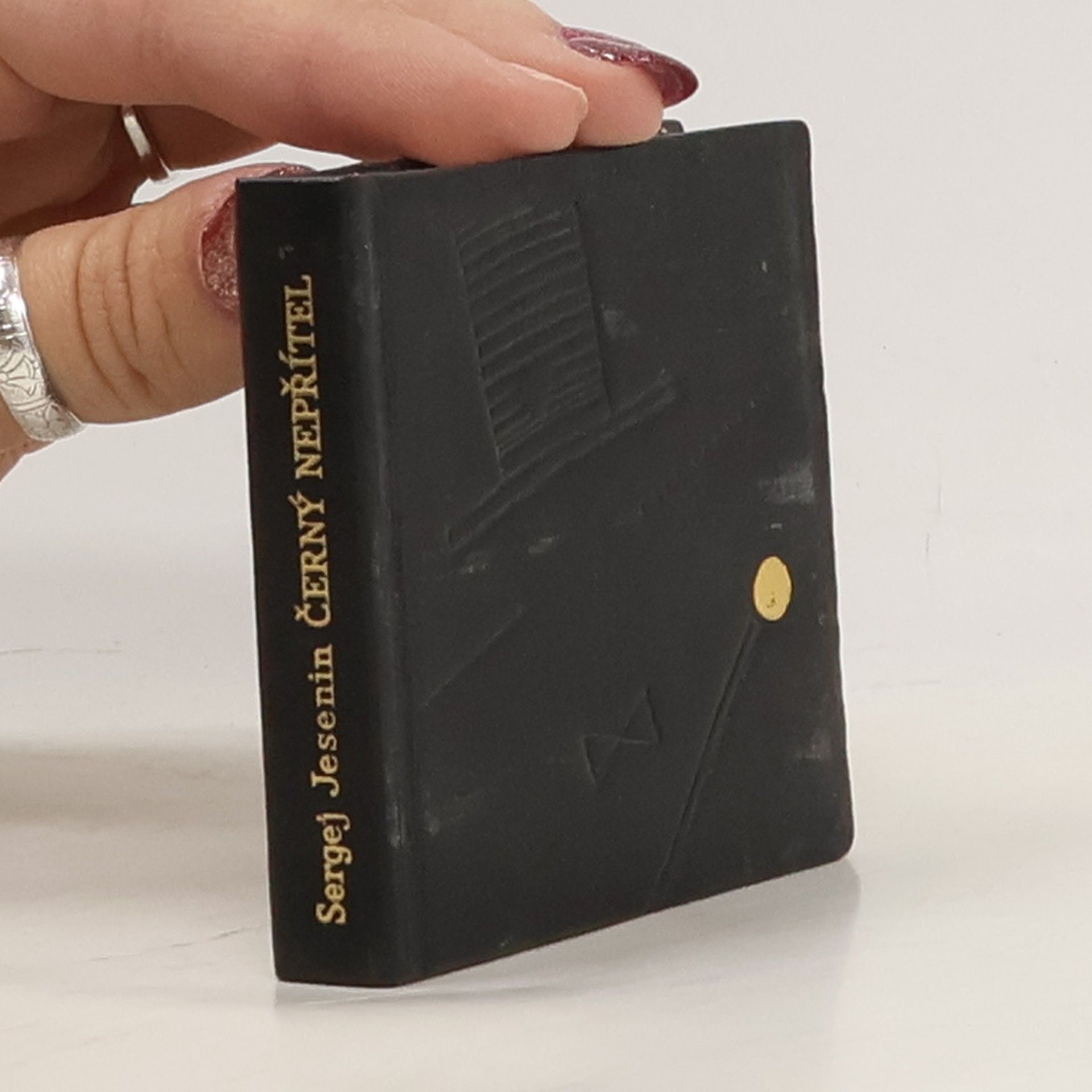 Sergei Alexandrowitsch Jessenin Černý nepřítel