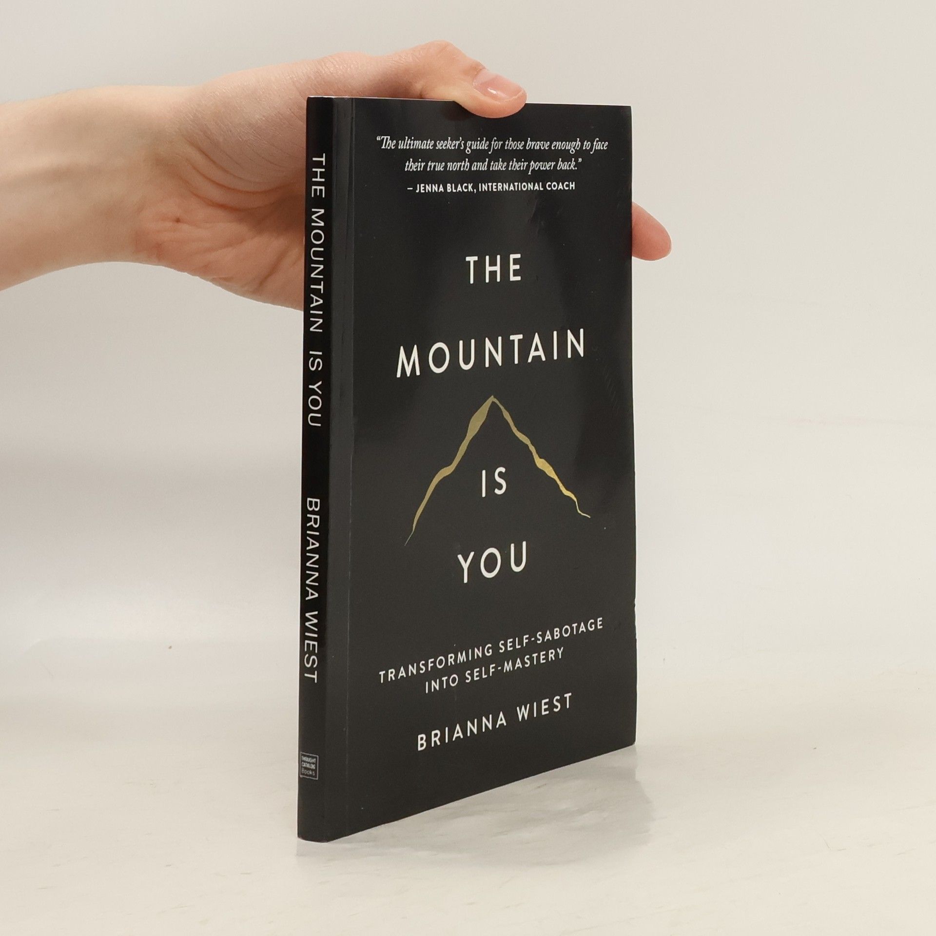 Brianna Wiest The Mountain Is You