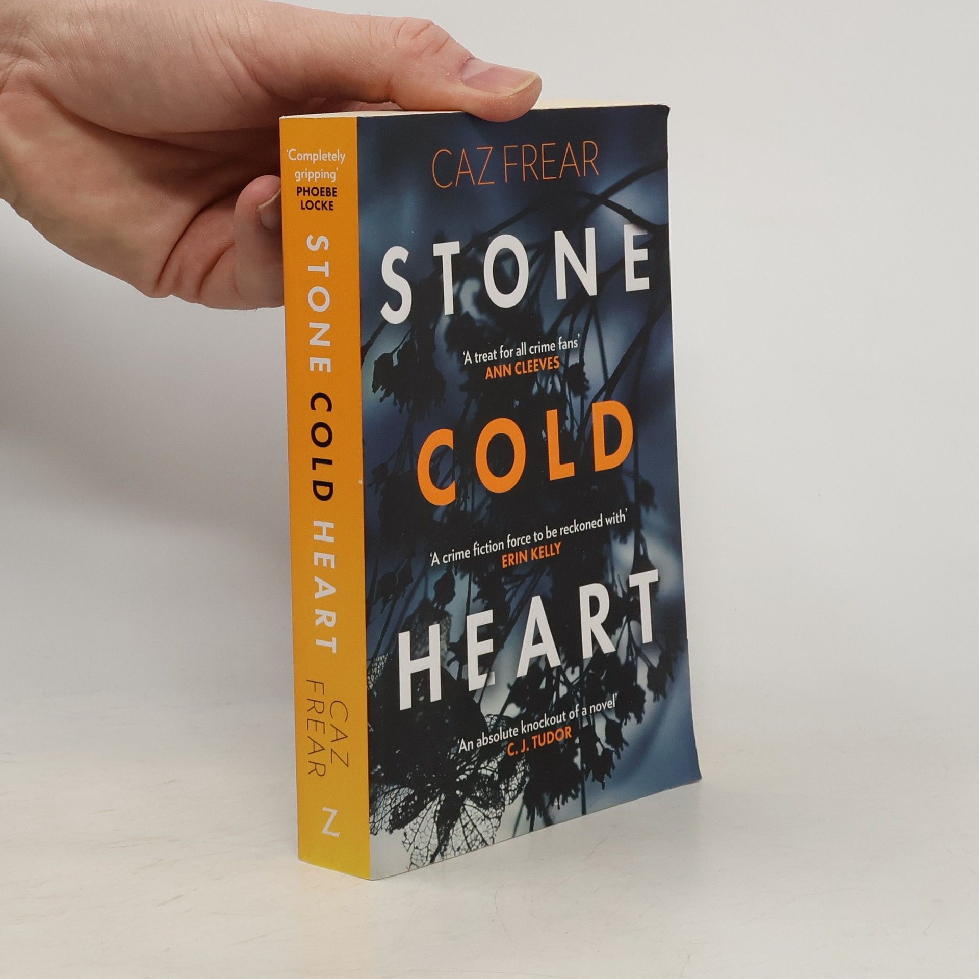 Caz Frear Stone Cold Heart