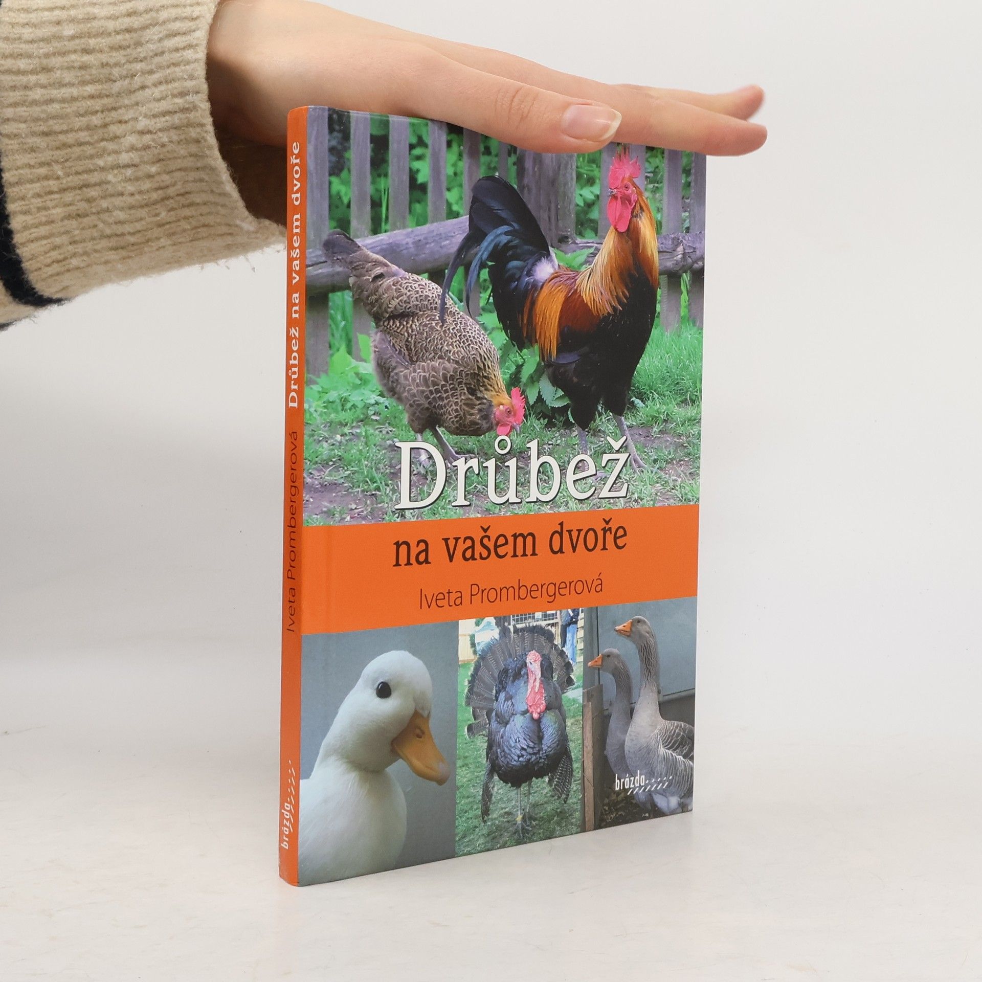 Iveta Prombergerová Drůbež na vašem dvoře