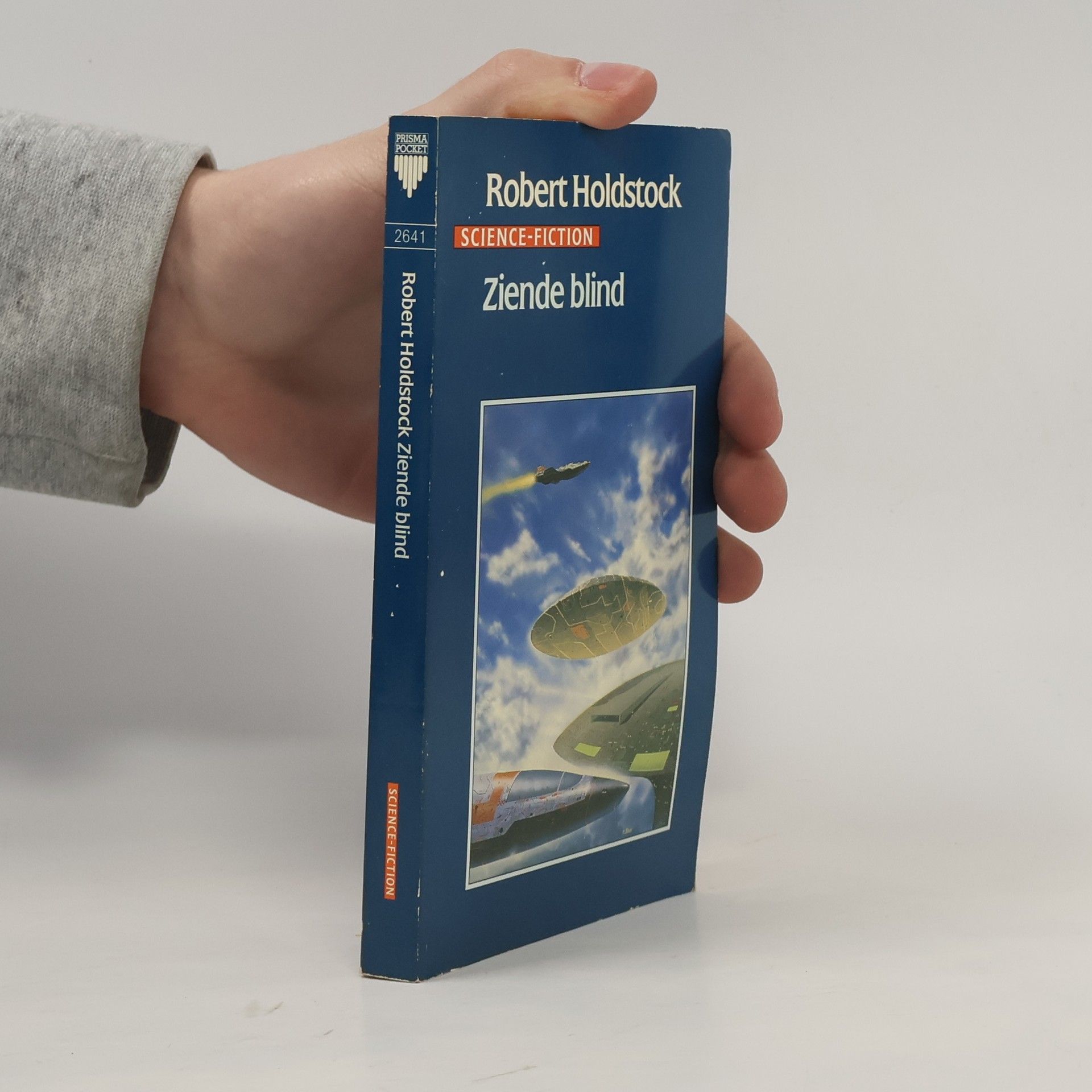 Margot Bakker Prisma Pocket - 2641: Ziende blind