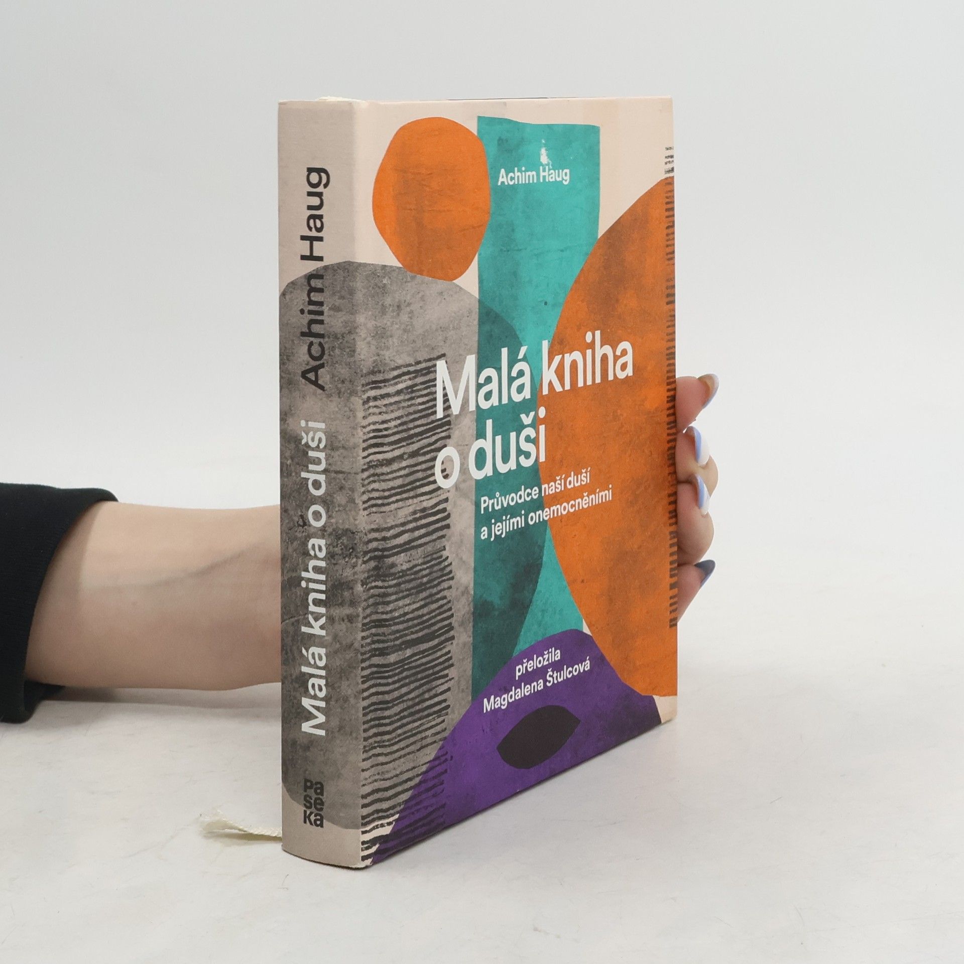 Achim Haug Malá kniha o duši. Průvodce na cesty naší psýchou a jejími nemocemi