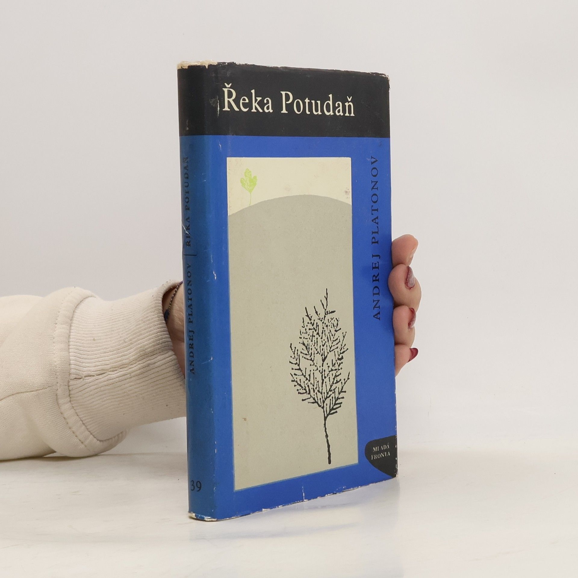 Andrei Platonowitsch Platonow Řeka Potudaň