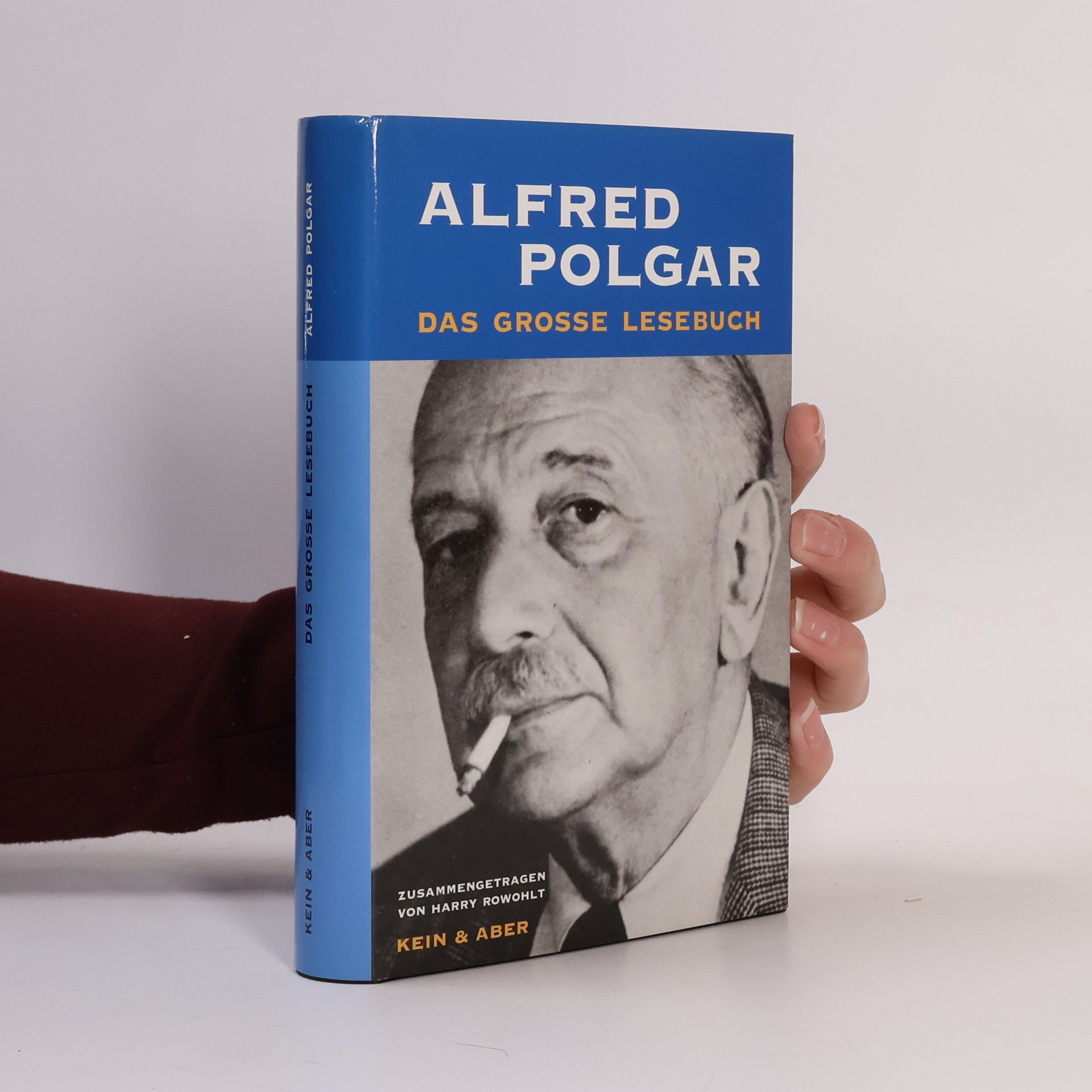 Alfred Polgar Das große Lesebuch