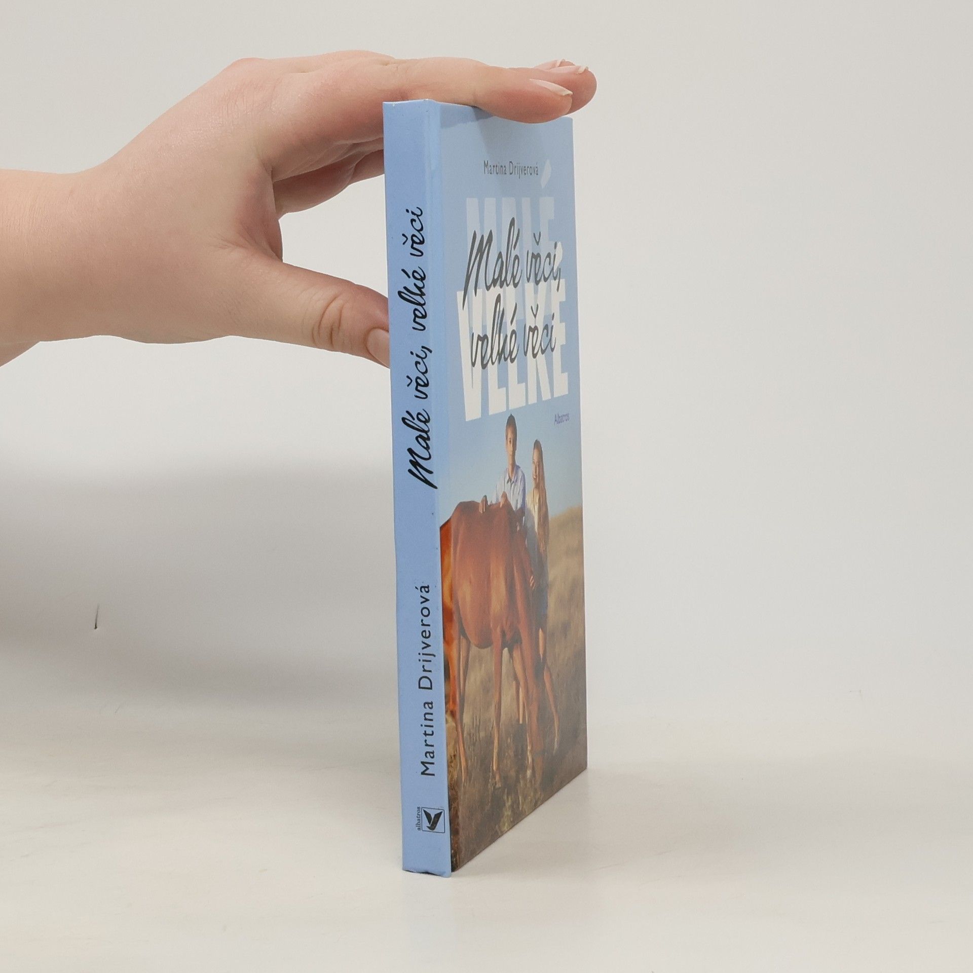 Drijverová Martina Malé věci, velké věci