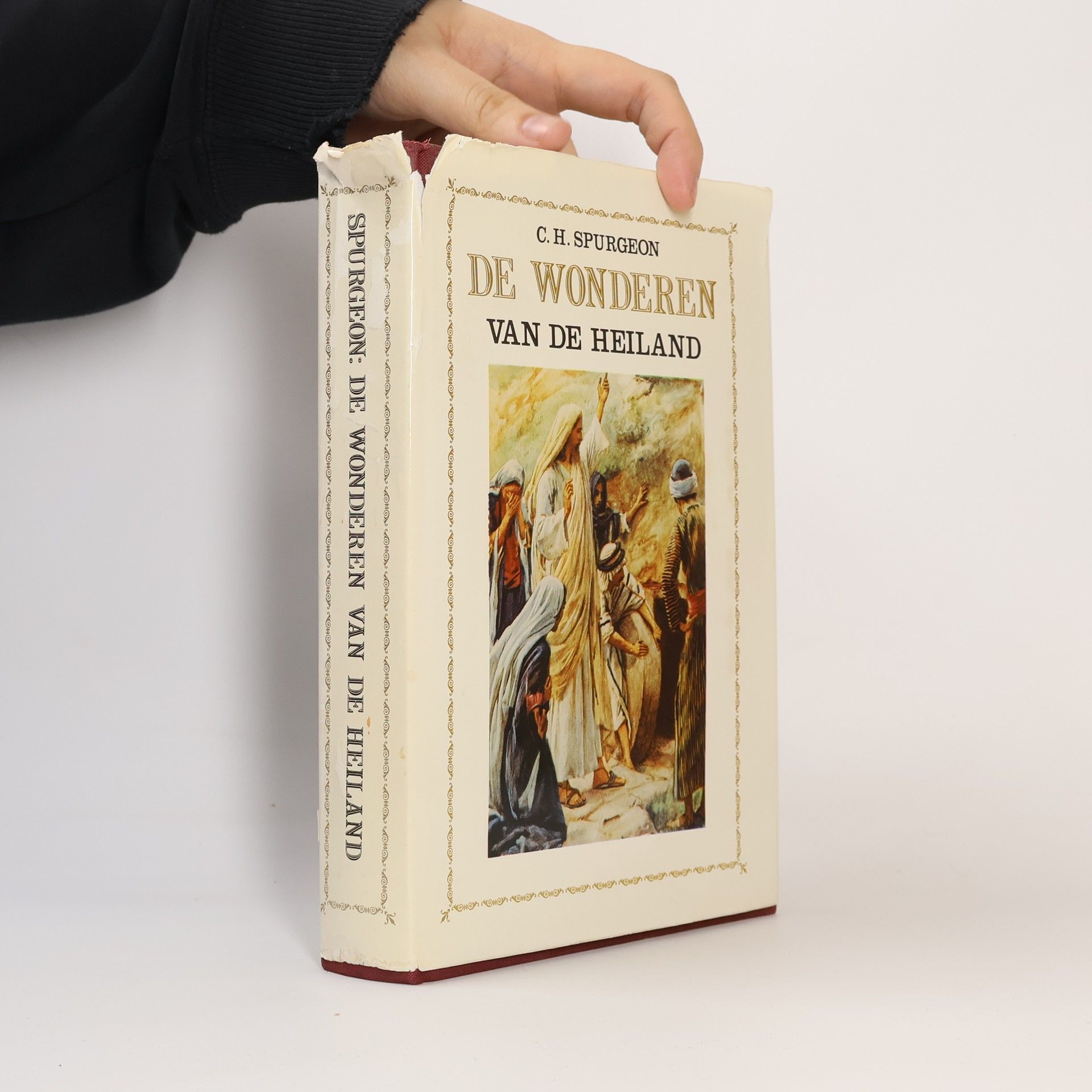 De Wonderen van de Heiland