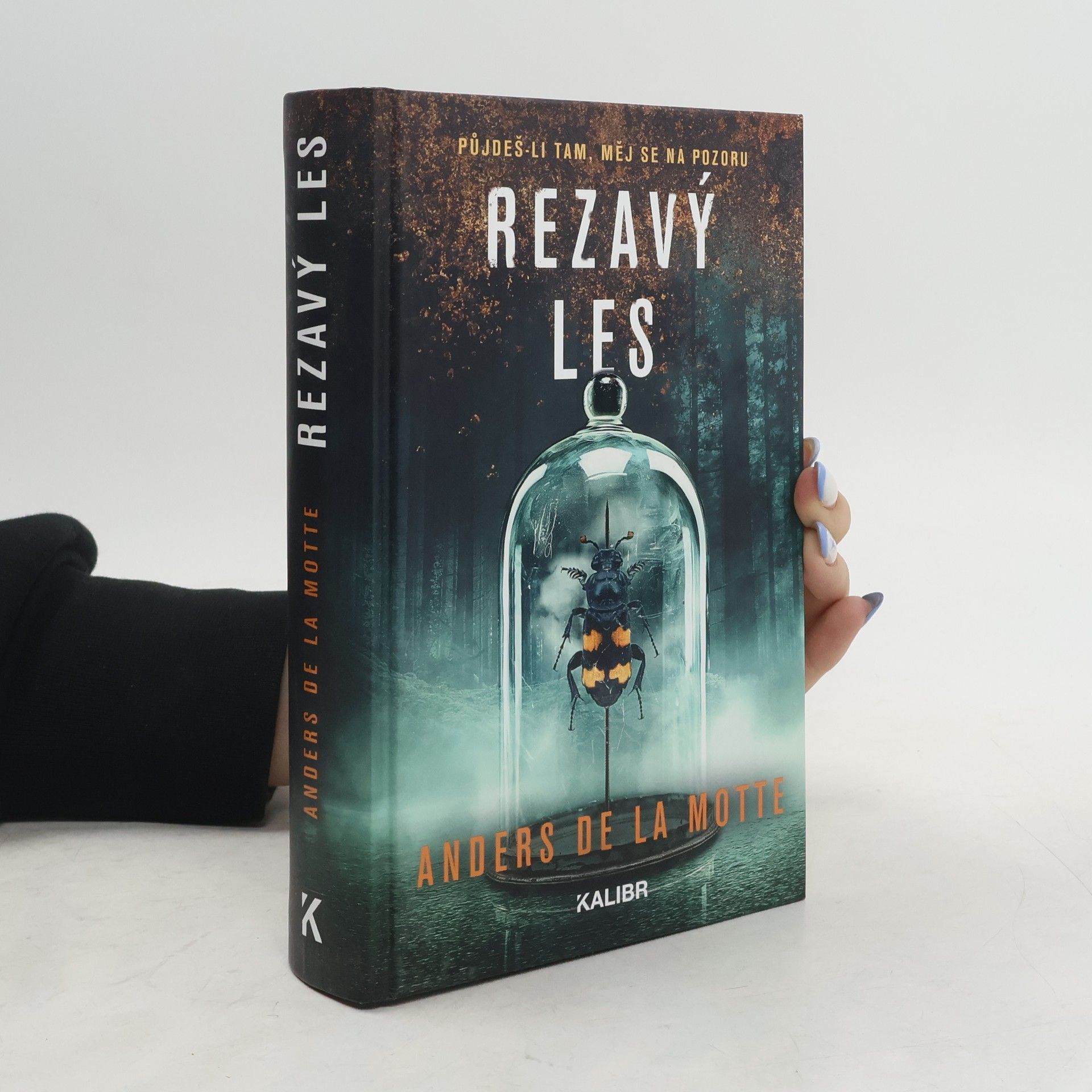 Anders De la Motte Rezavý les