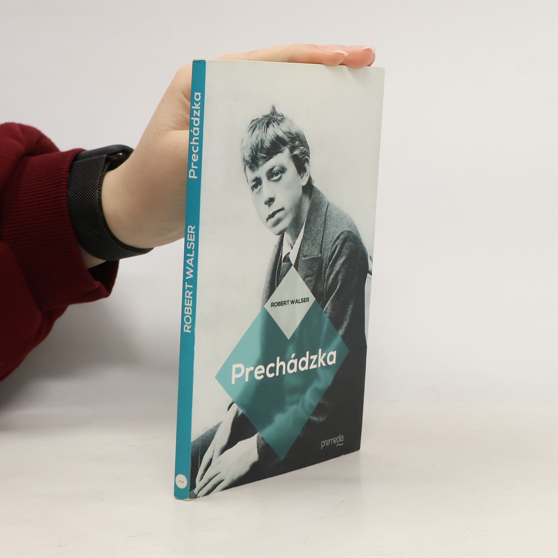 Robert Walser Prechádzka