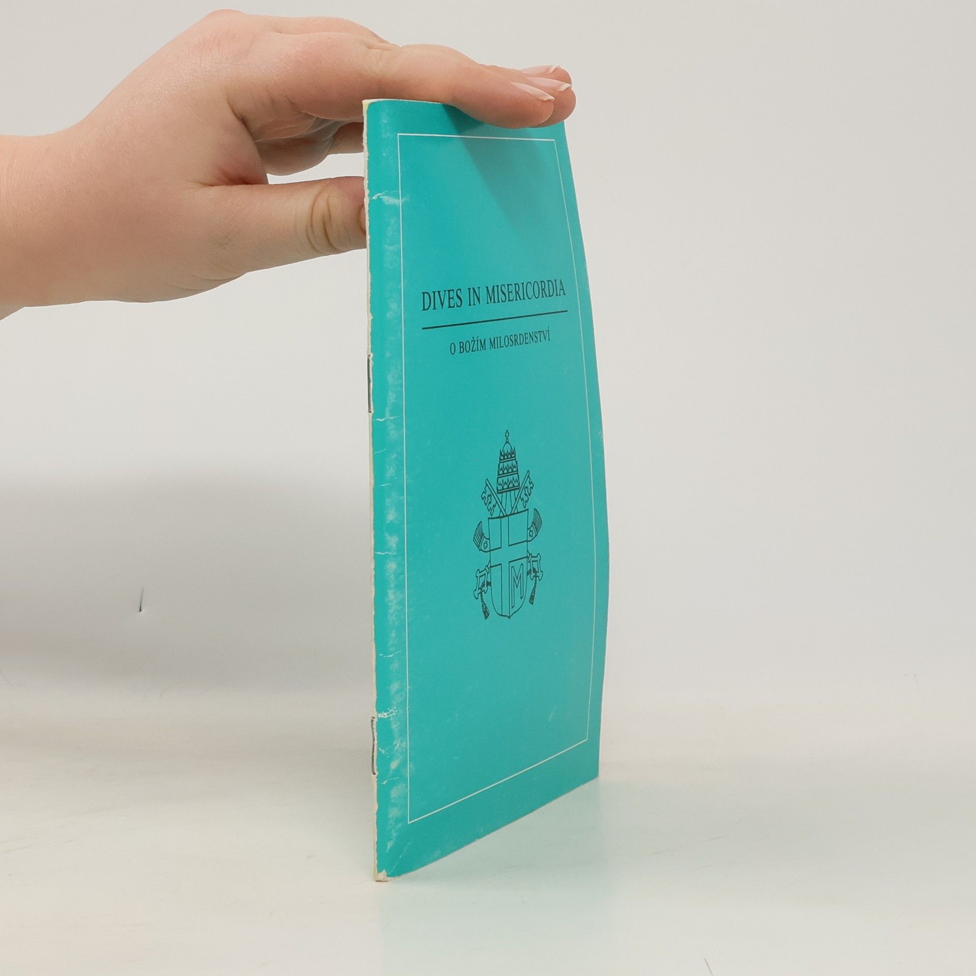 Terezie Brichtová Dives in misericordia. O Božím milosrdenství