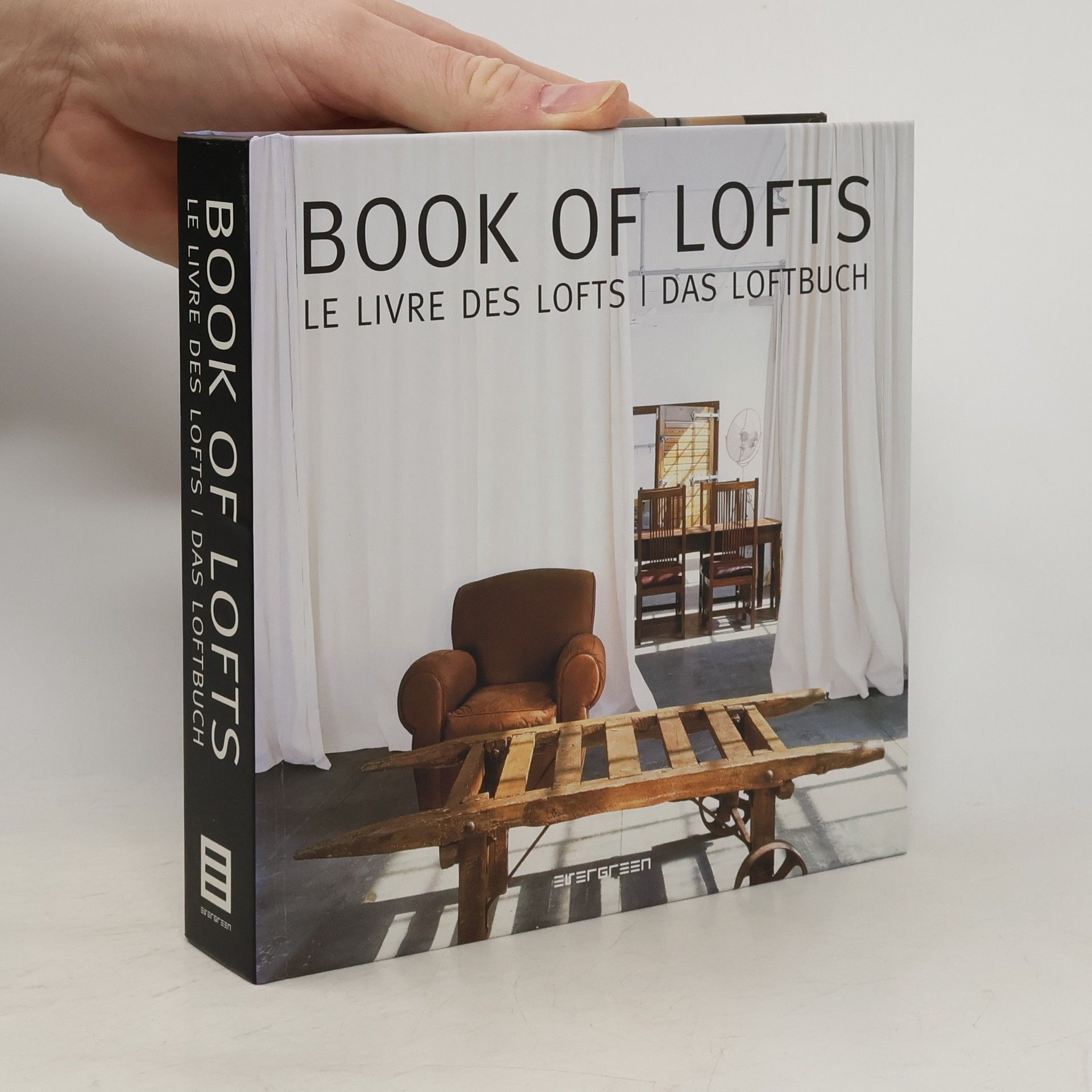 Simone Schleifer Book of Lofts