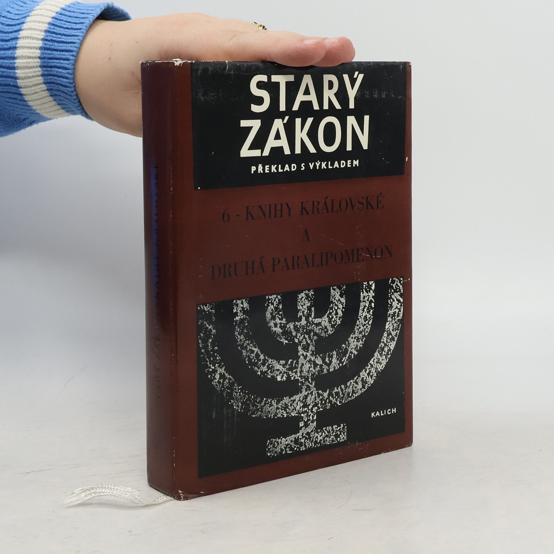 Autorenkollektiv Starý zákon 6. Knihy královské a druhá Paralipomenon