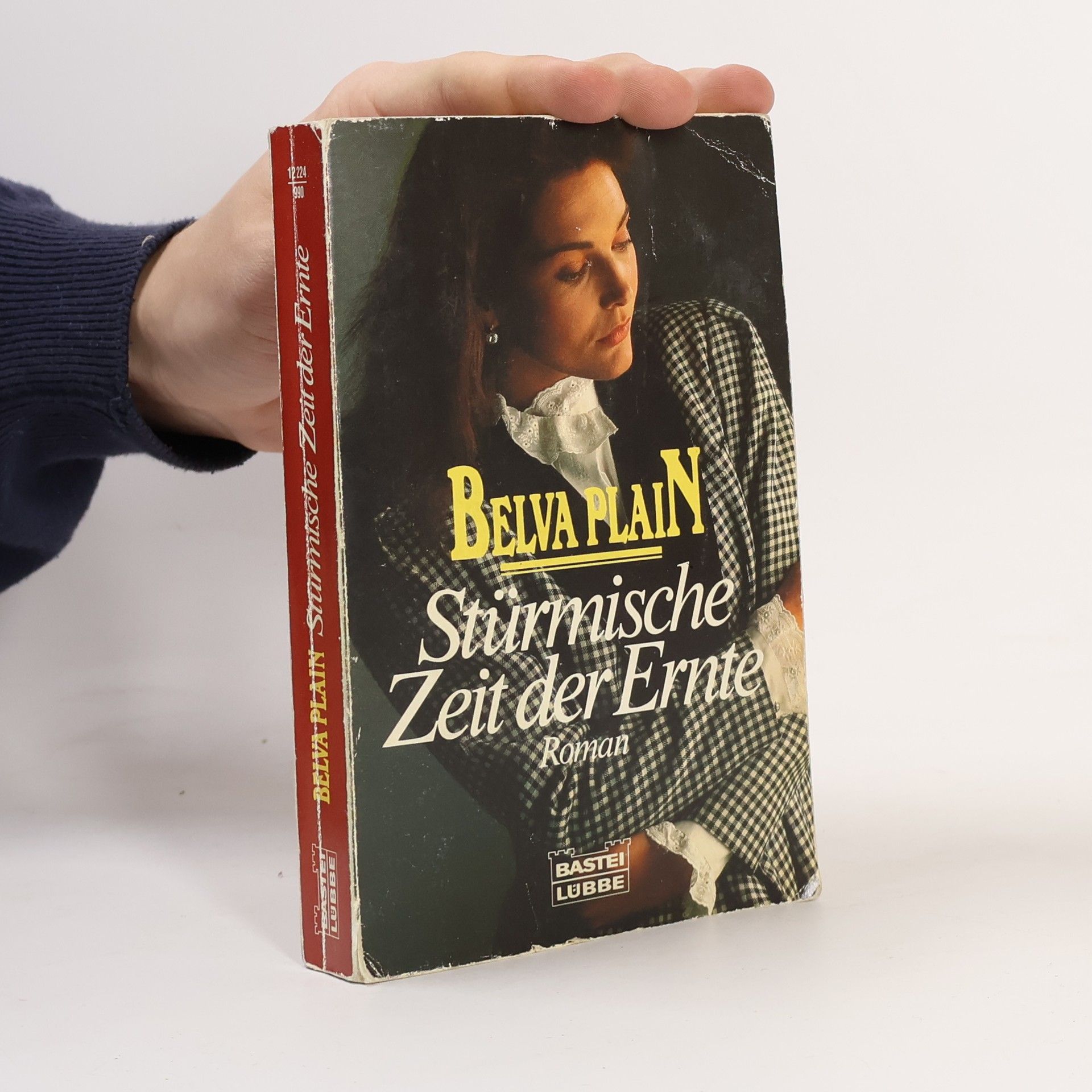 Belva Plain Stürmische Zeit der Ernte