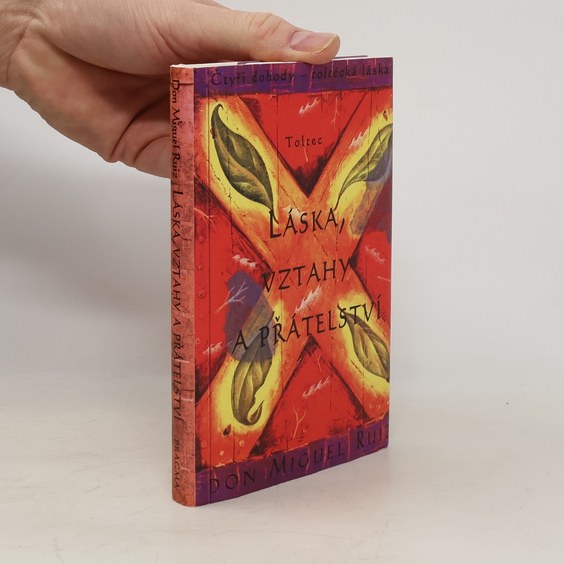 Don Miguel Ruiz Láska, vztahy a přátelství