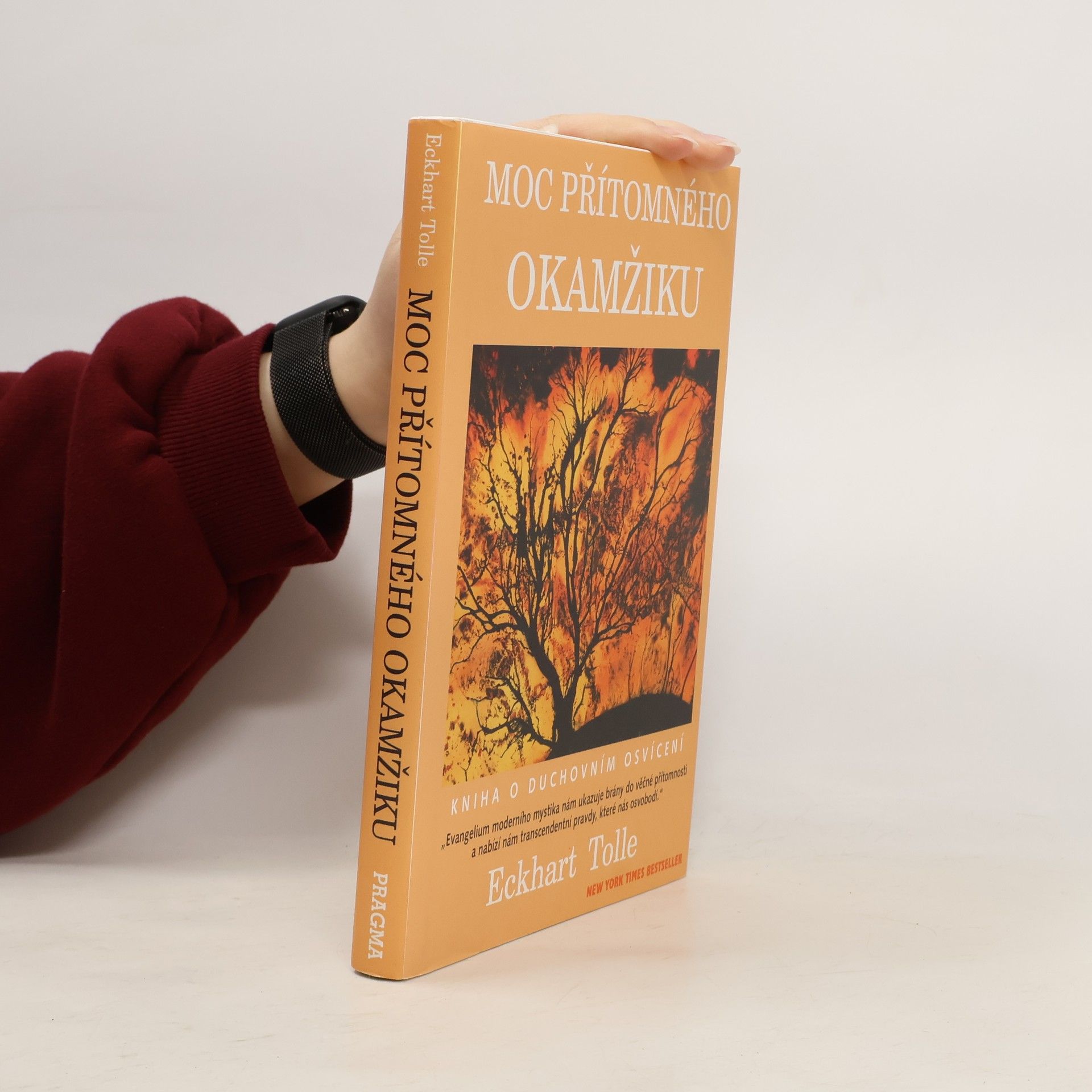 Eckhart Tolle Moc přítomného okamžiku