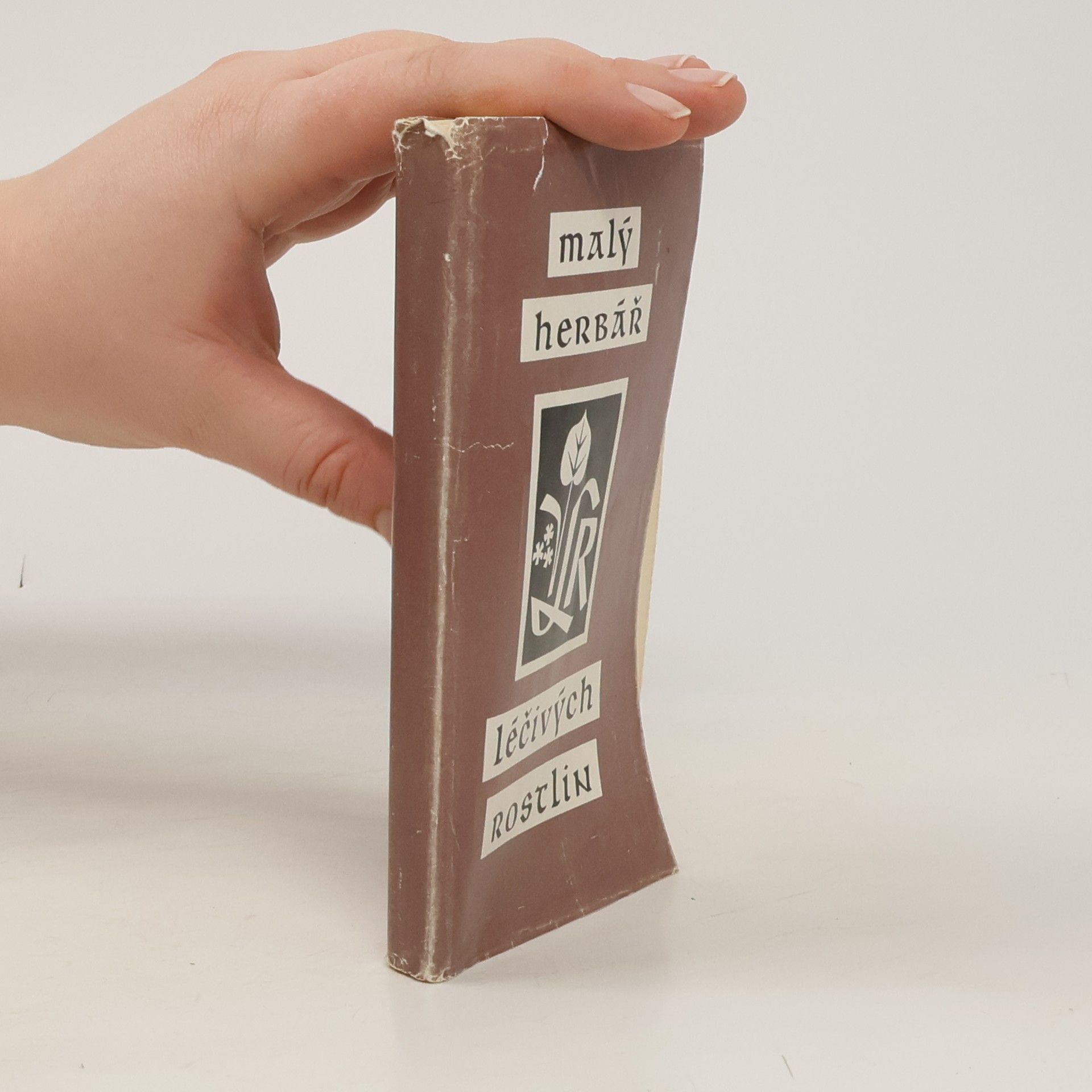 Václav Krejčík Malý herbář léčivých rostlin