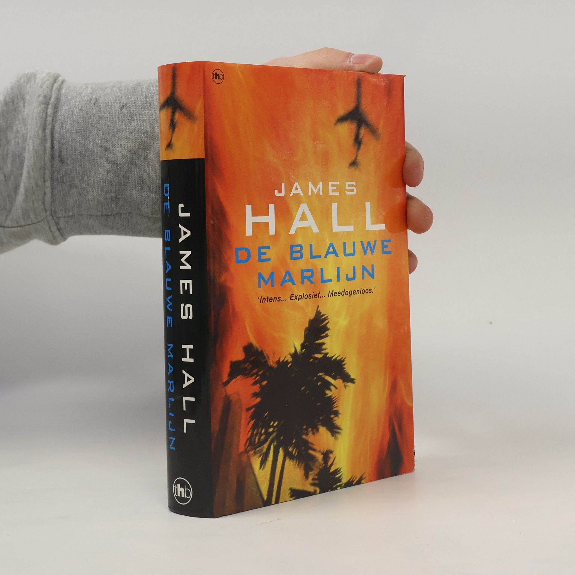 Peter Cuijpers De Blauwe Marlijn