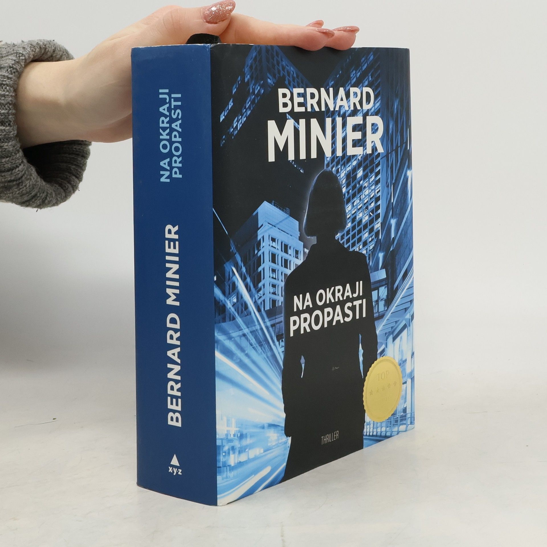 Bernard Minier Na okraji propasti