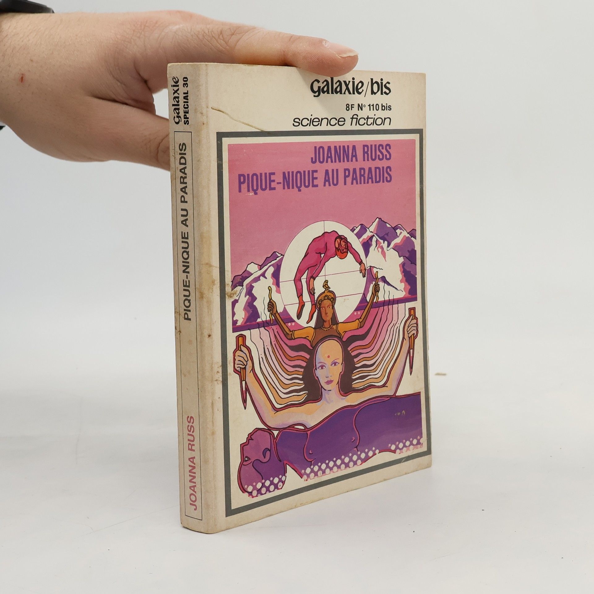 Pique-nique au paradis