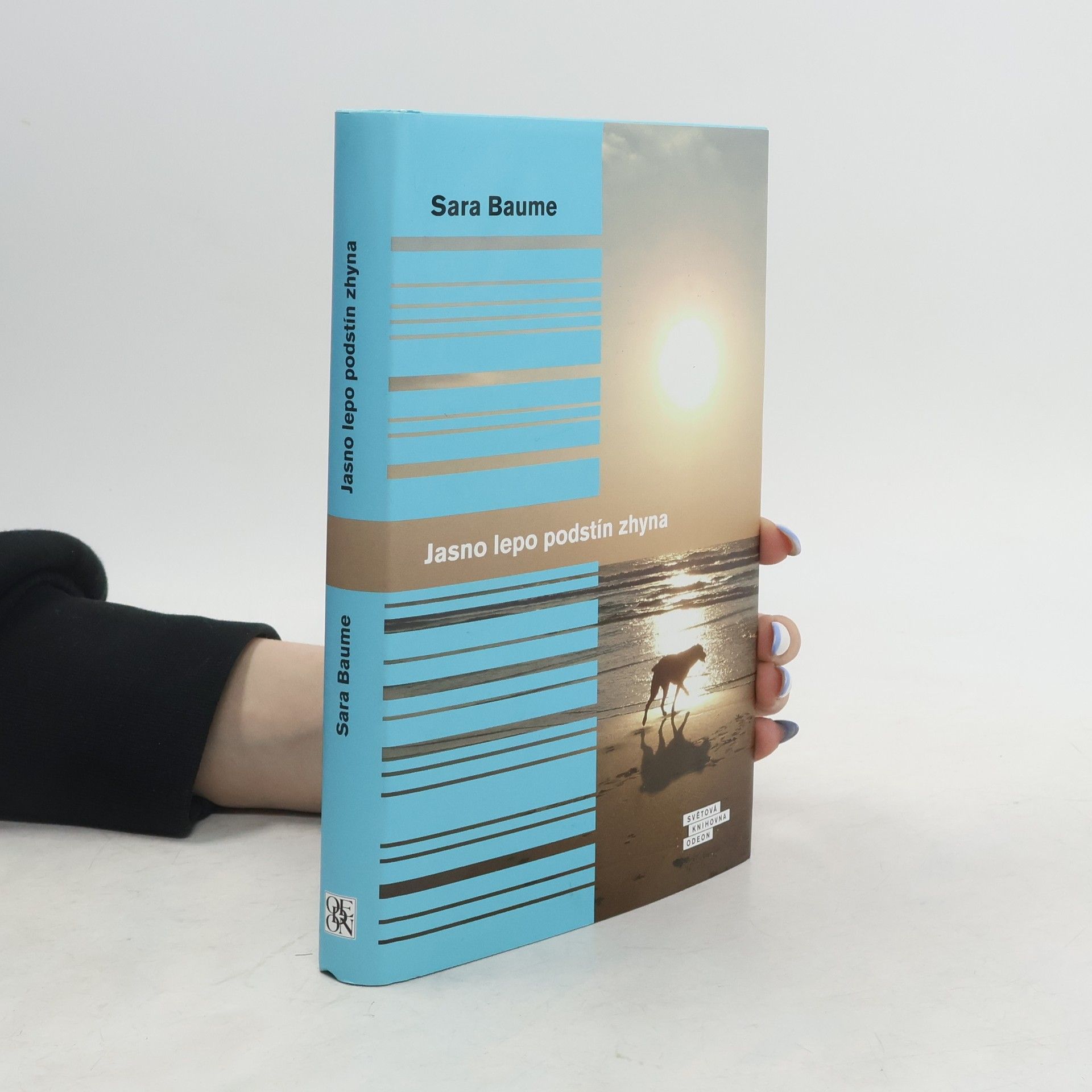 Sara Baume Jasno lepo podstín zhyna