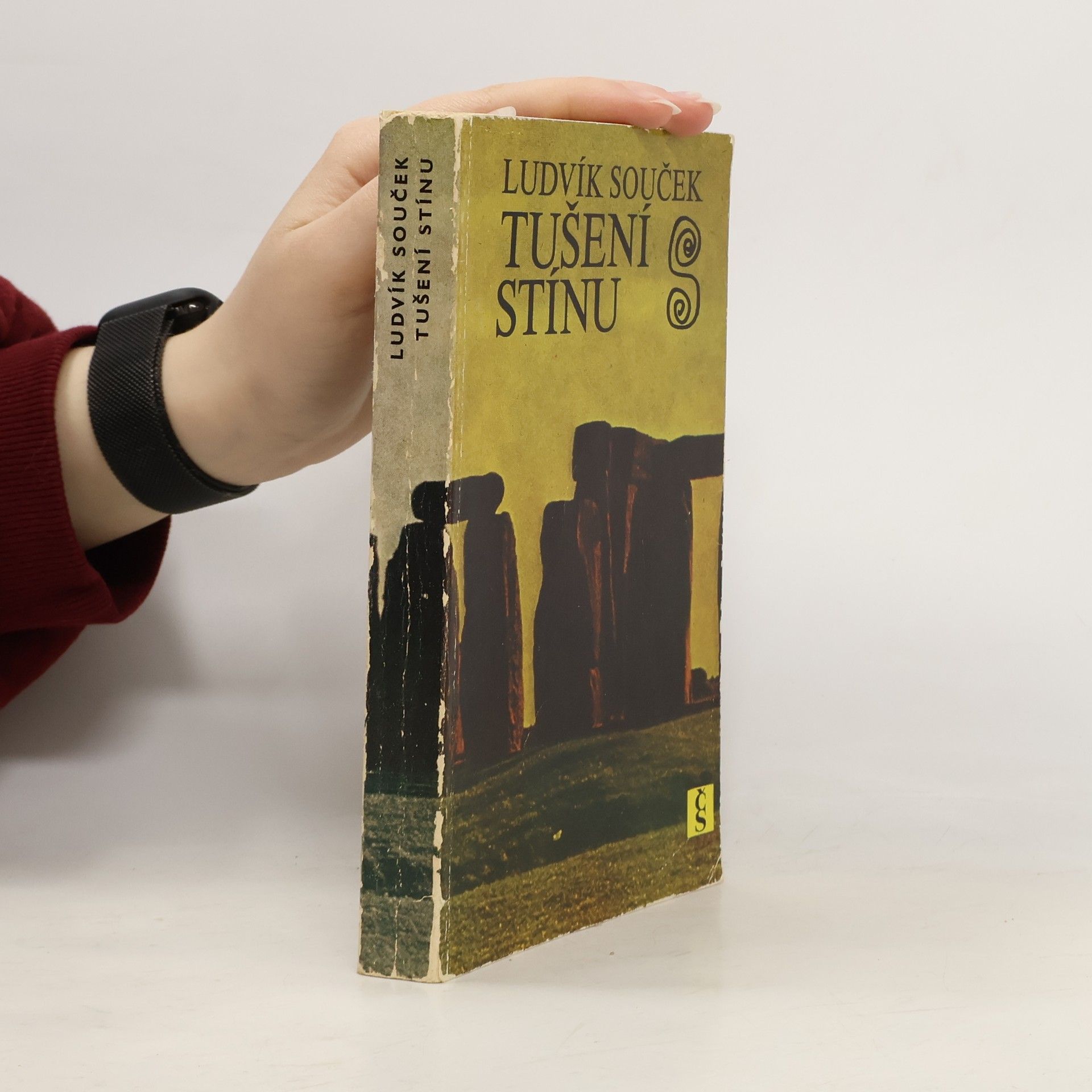 Ludvík Souček Tušení stínu