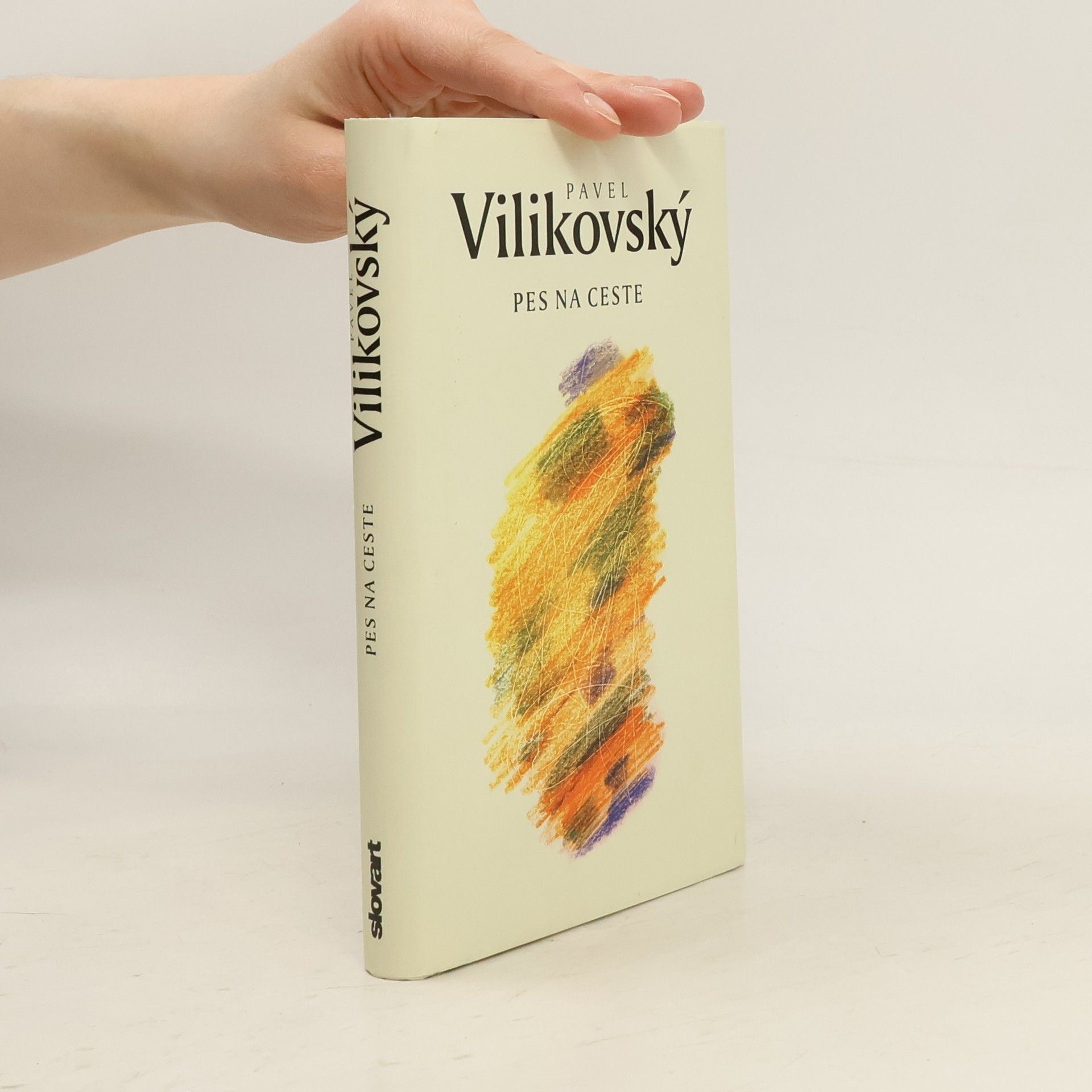 Pavel Vilikovský Pes na ceste