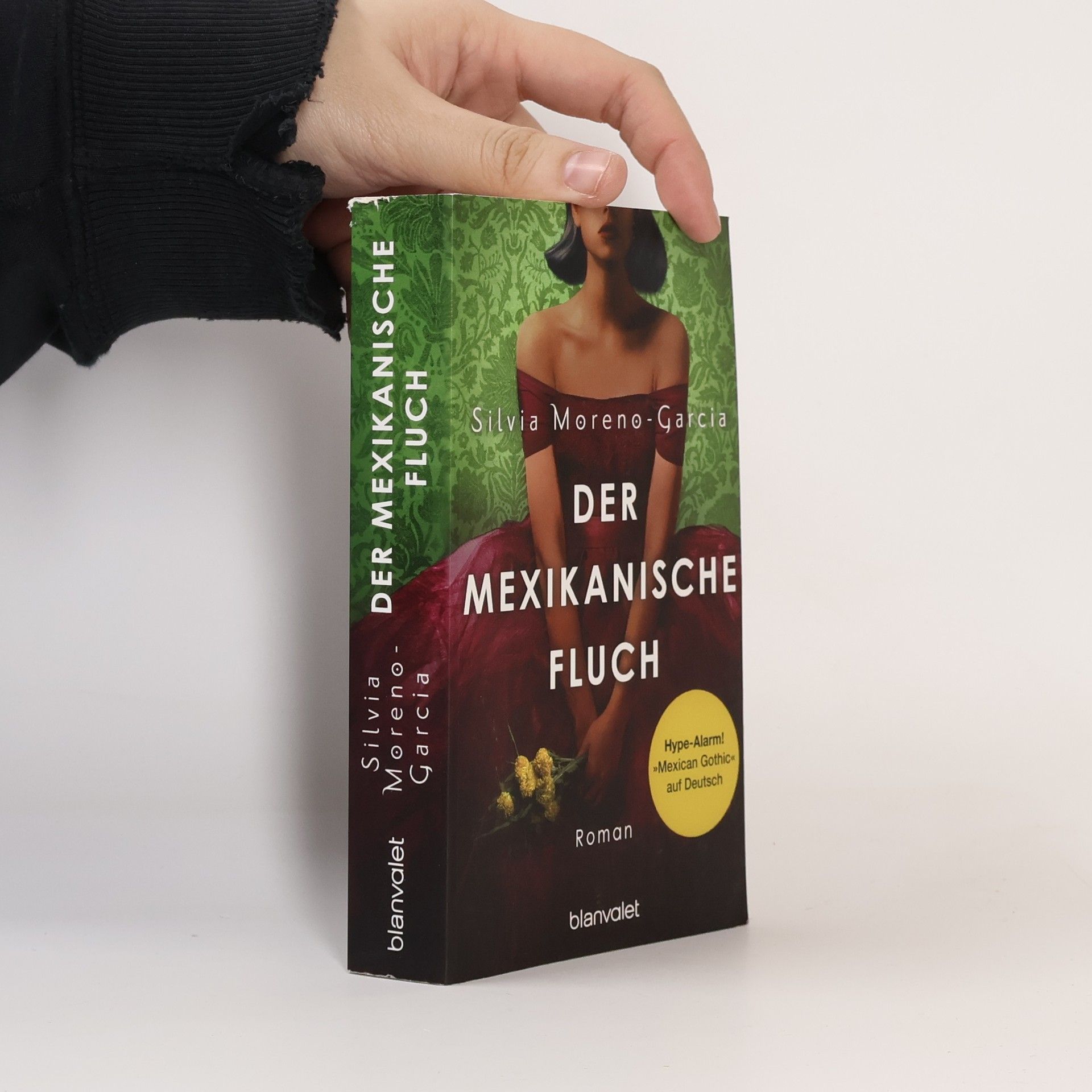 Silvia Moreno-Garcia Der mexikanische Fluch