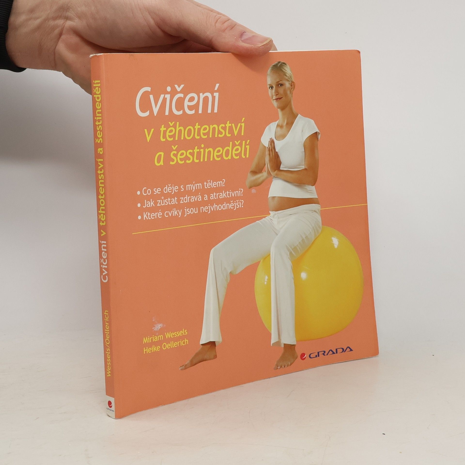 Miriam Wessels Cvičení v těhotenství a šestinedělí