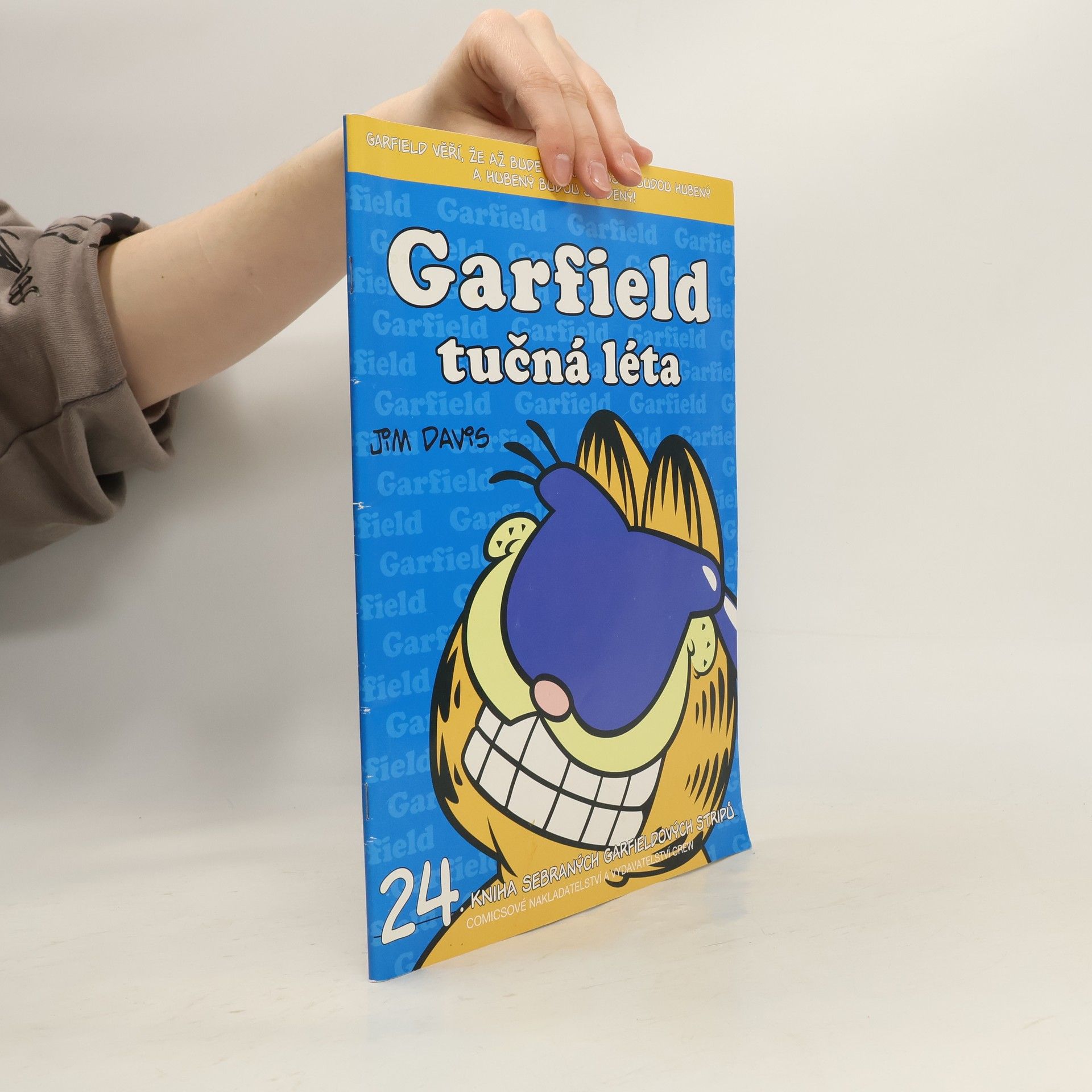 Jim Davis Garfield : tučná léta