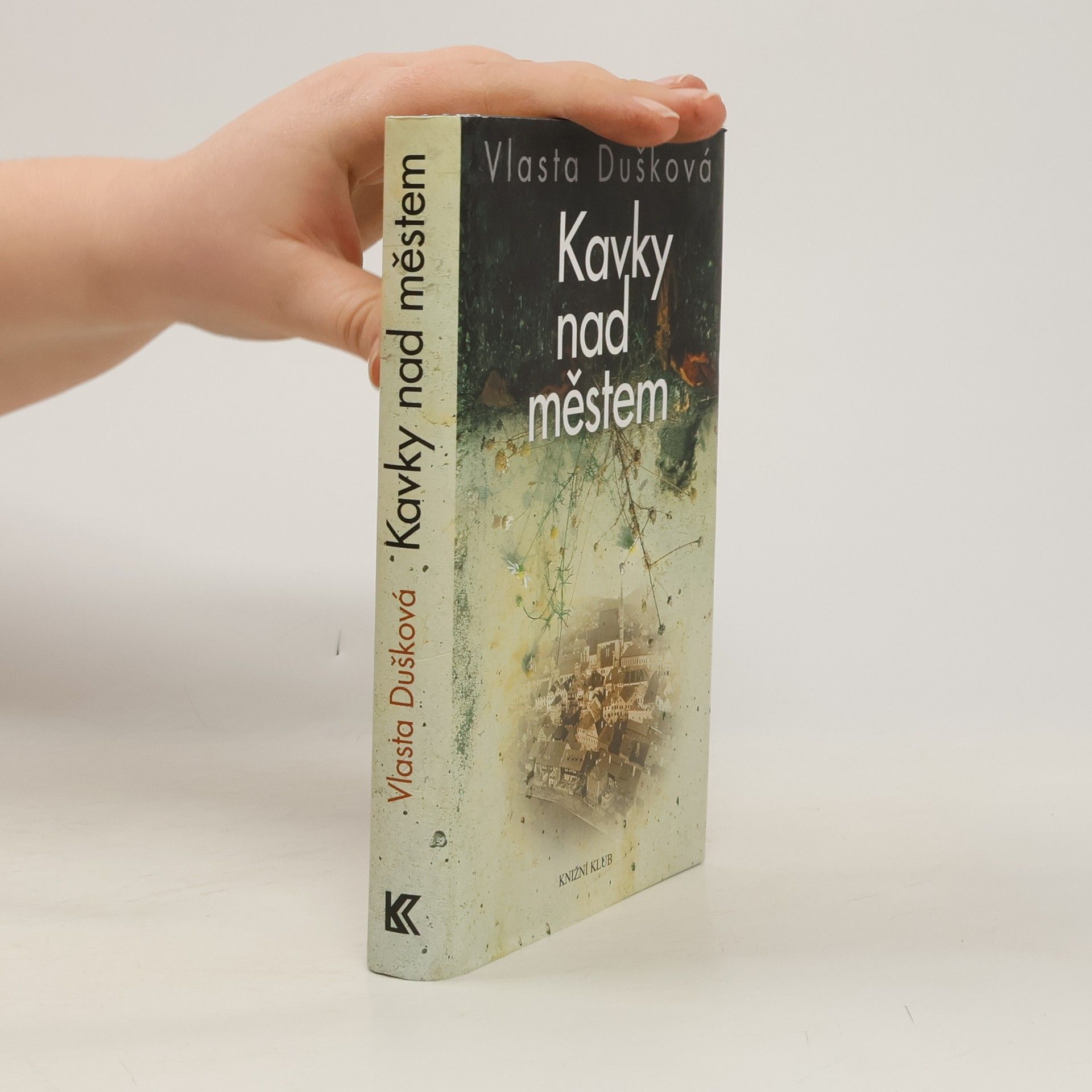 Vlasta Dušková Kavky nad městem