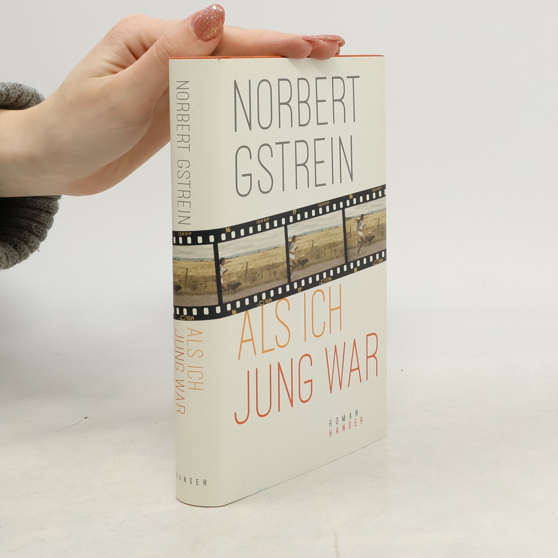 Norbert Gstrein Als ich jung war