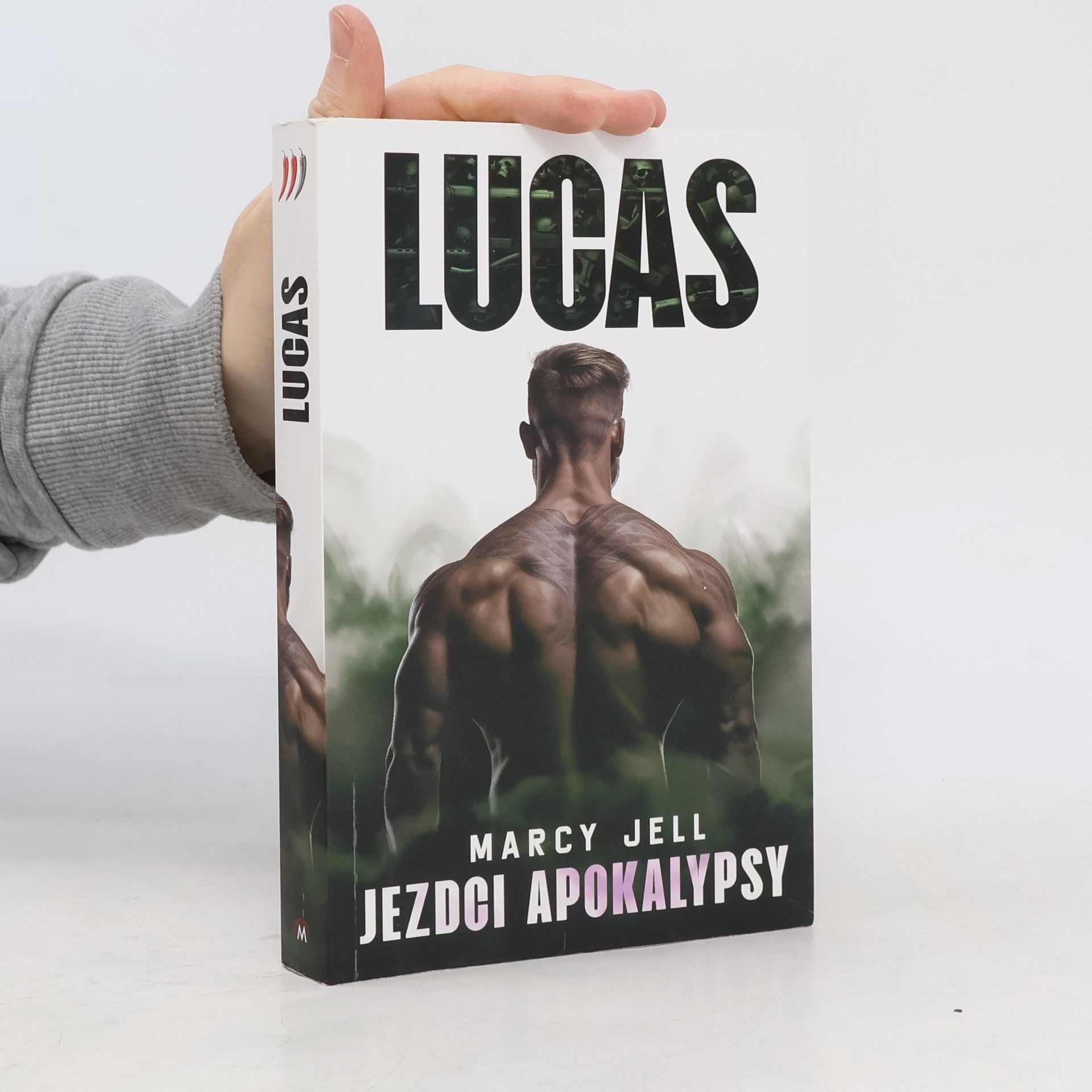 Marcy Jell Jezdci apokalypsy. Kniha druhá, Lucas