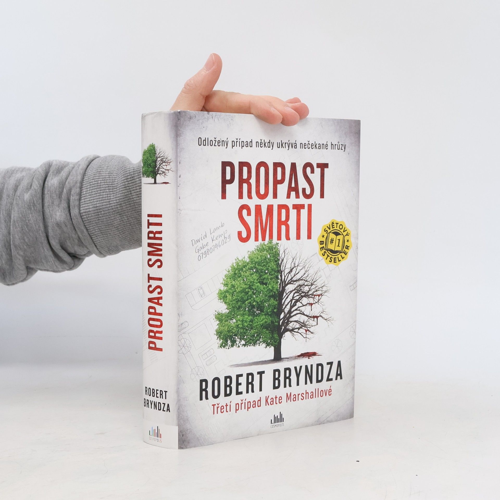 Robert Bryndza Propast smrti