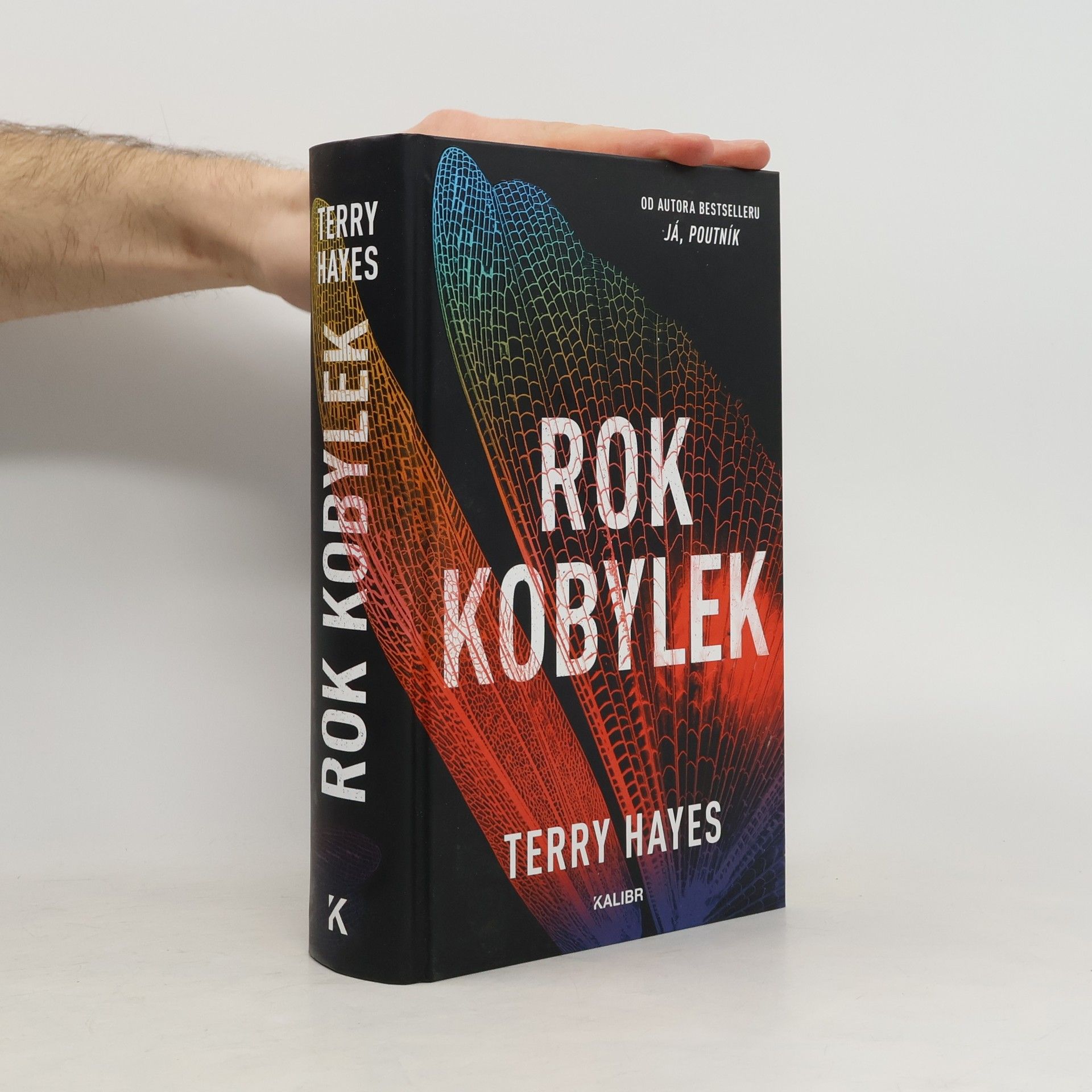 Terry Hayes Rok kobylek