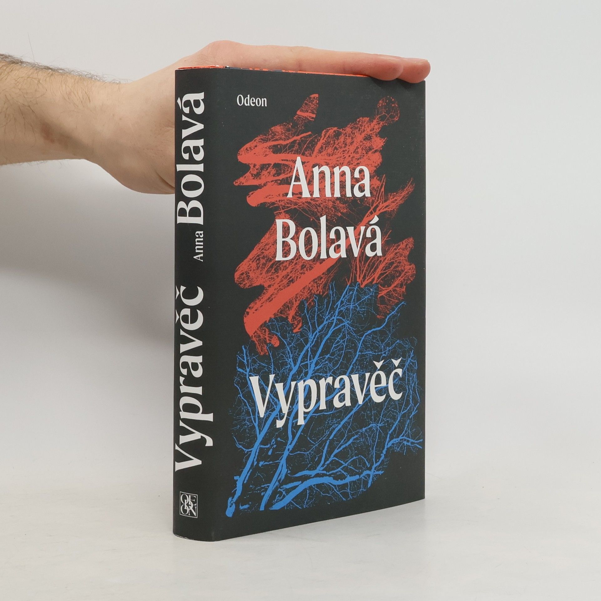 Anna Bolavá Vypravěč