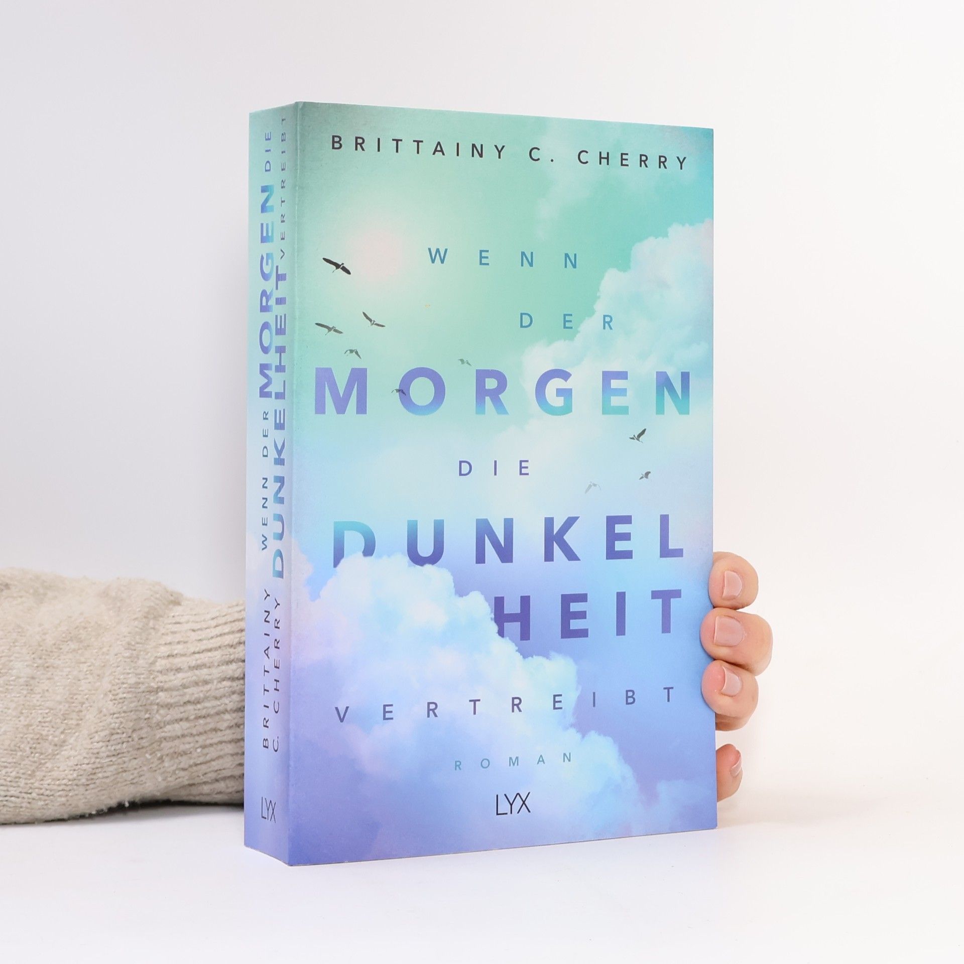 Brittainy C. Cherry Wenn der Morgen die Dunkelheit vertreibt