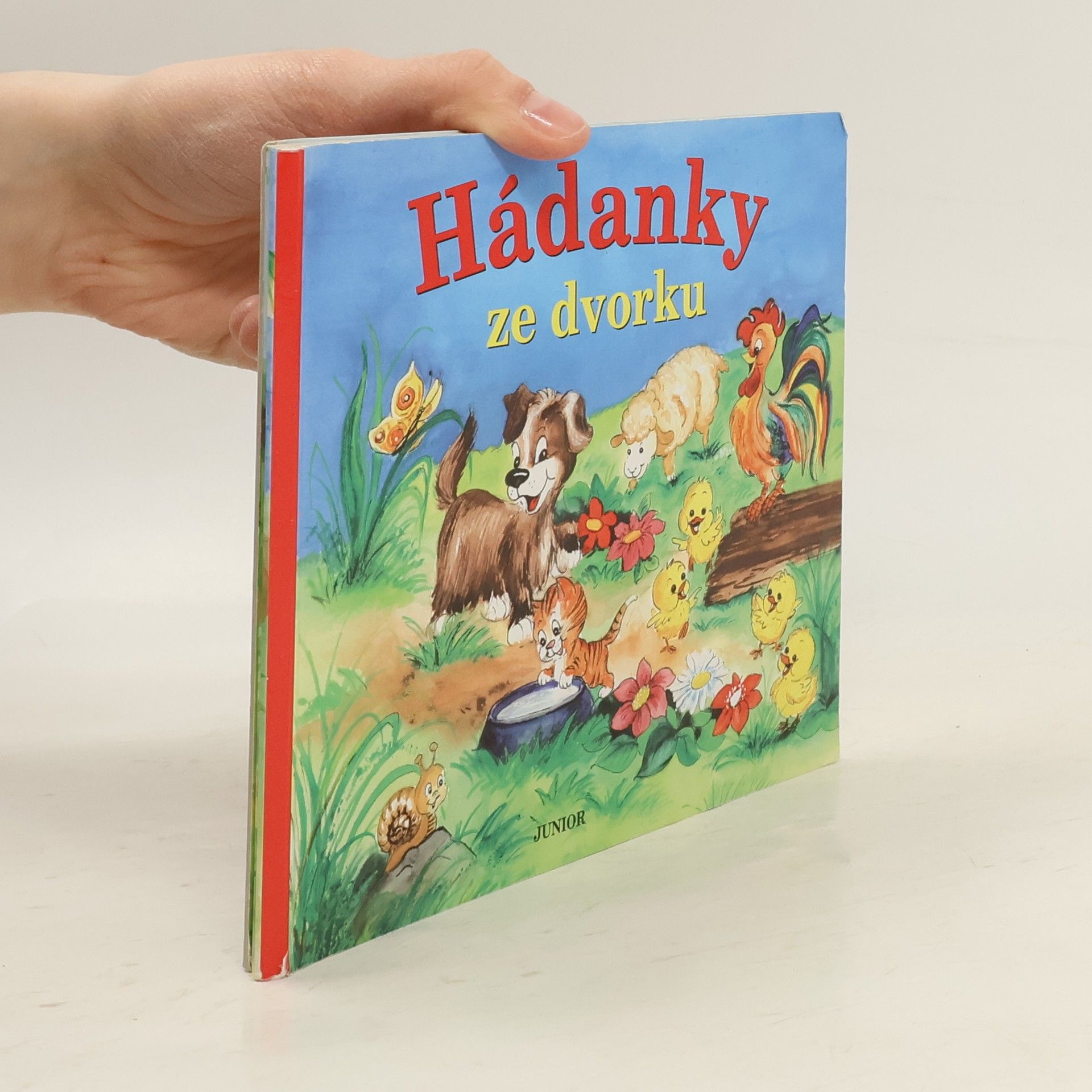 Zuzana Pospíšilová Hádanky ze dvorku