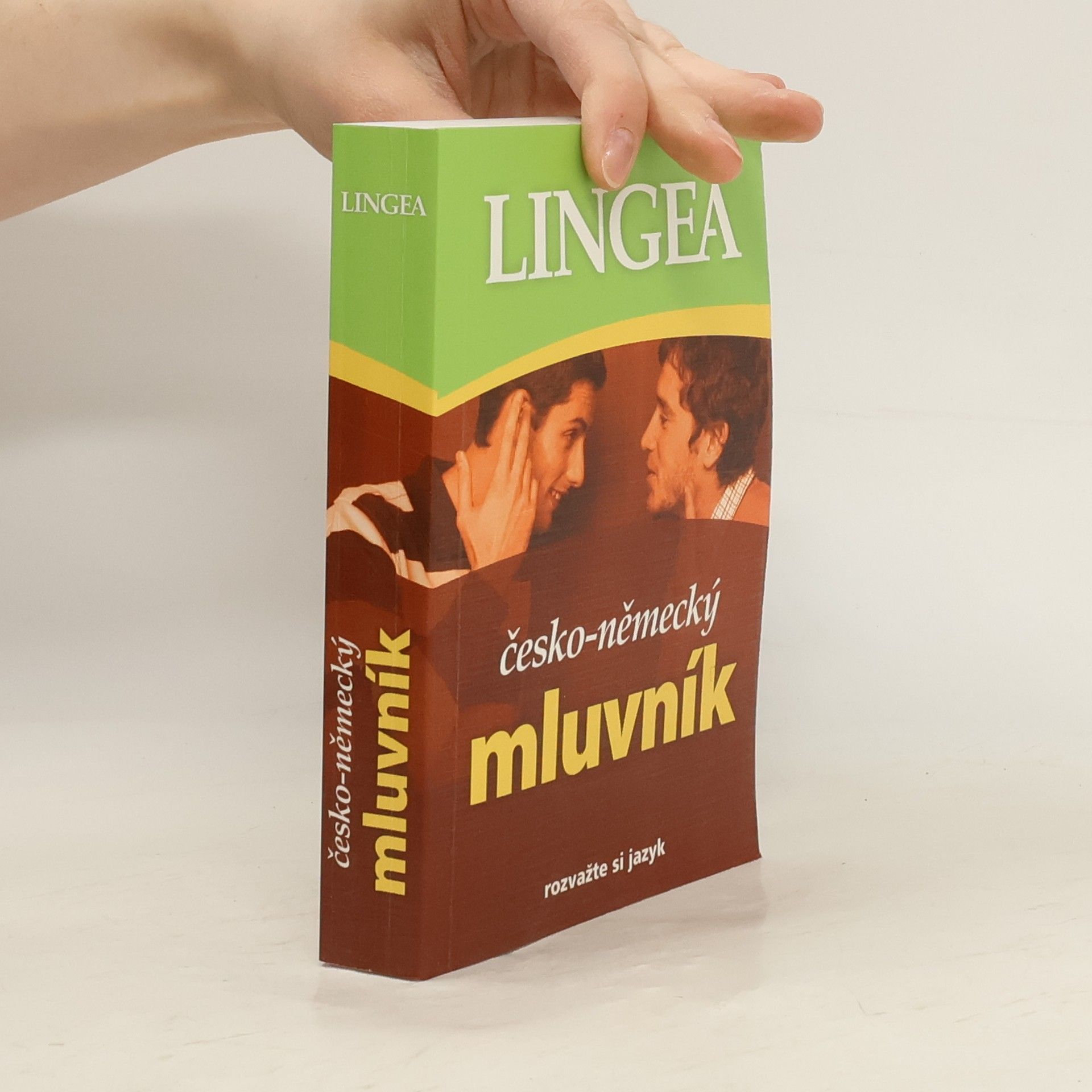 Autorenkollektiv Česko-německý mluvník