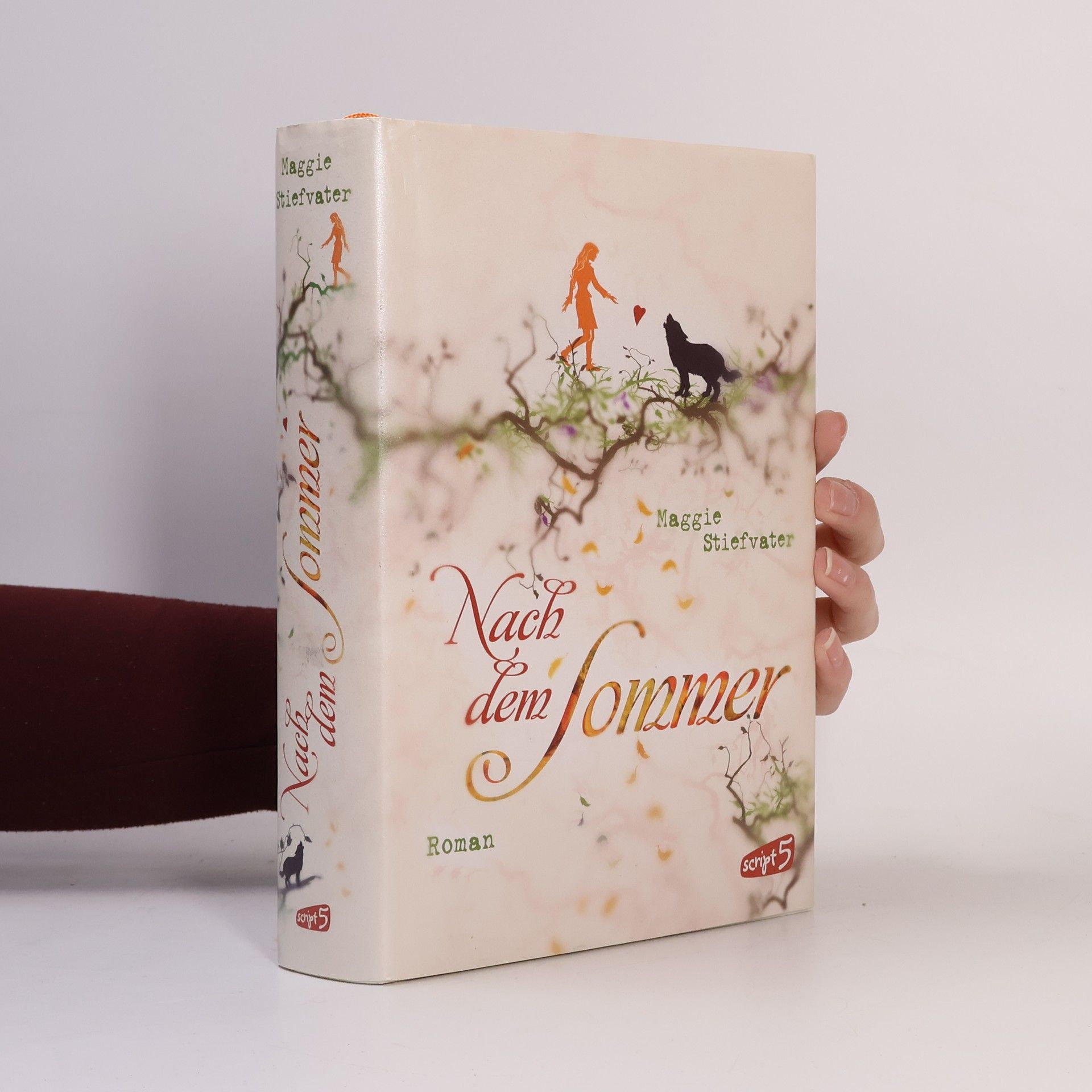 Maggie Stiefvater Nach dem Sommer