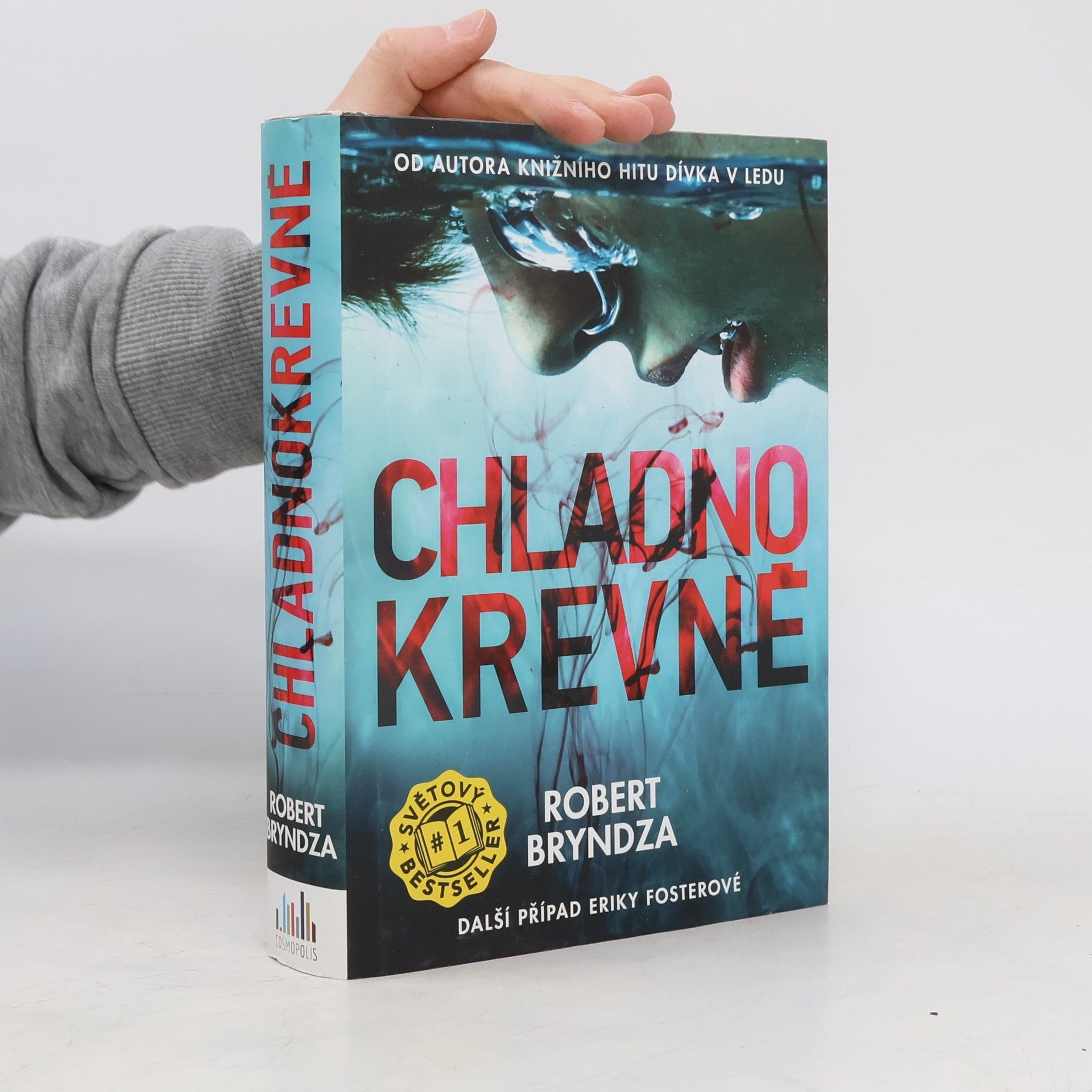 Robert Bryndza Chladnokrevně