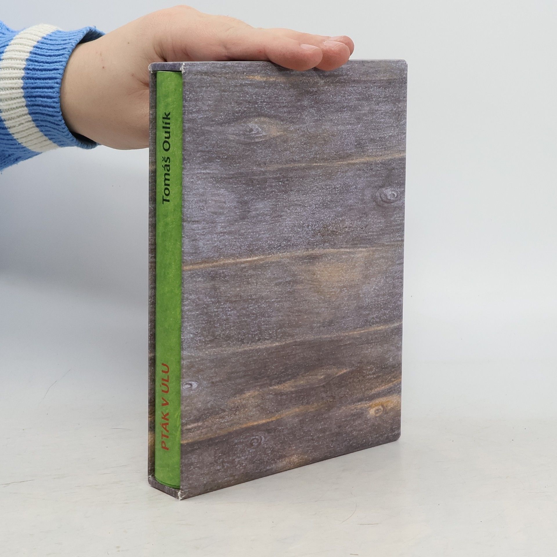 Tomáš Oulík Pták v úlu