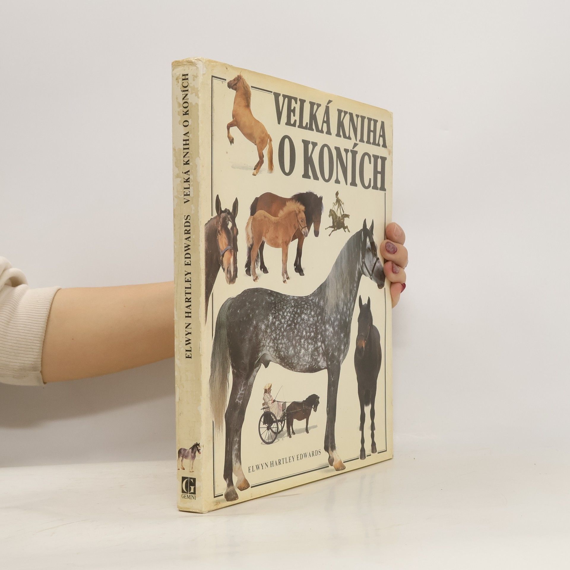 Elwyn Hartley Edwards Velká kniha o koních
