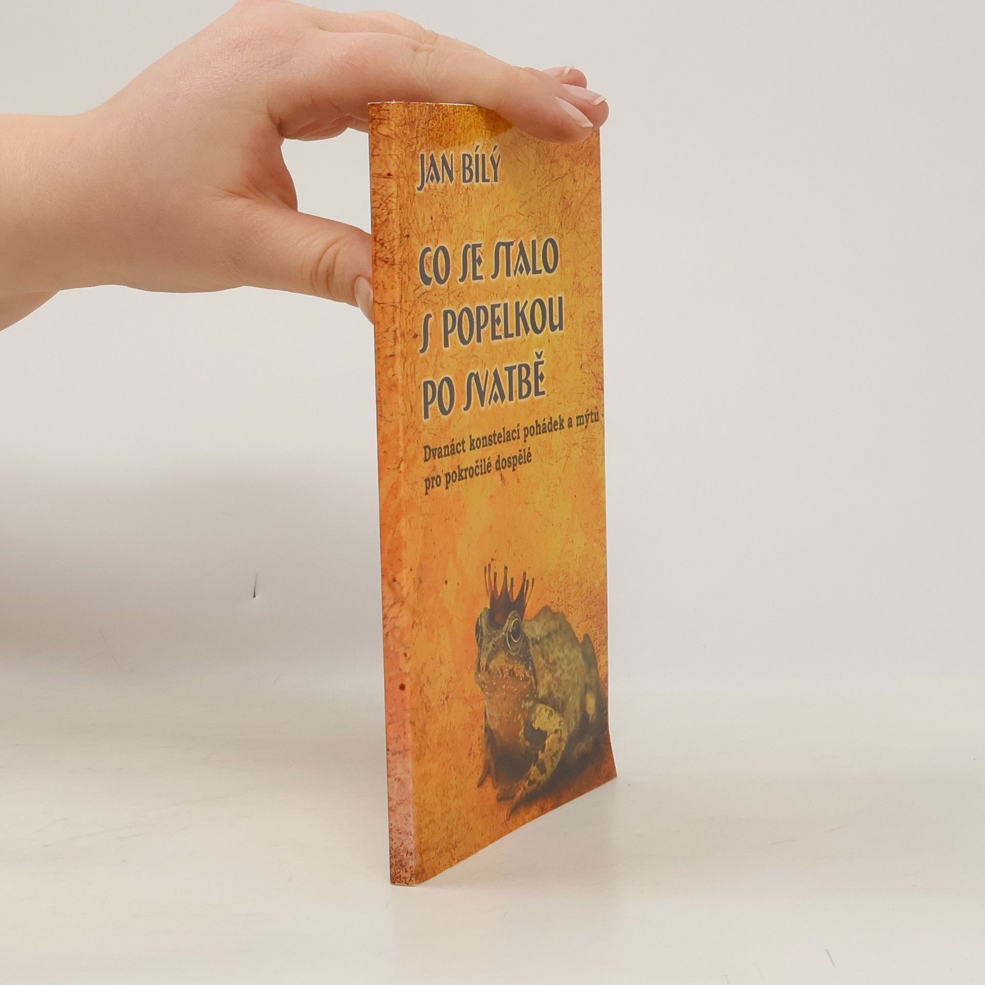 Jan Bílý Co se stalo s Popelkou po svatbě