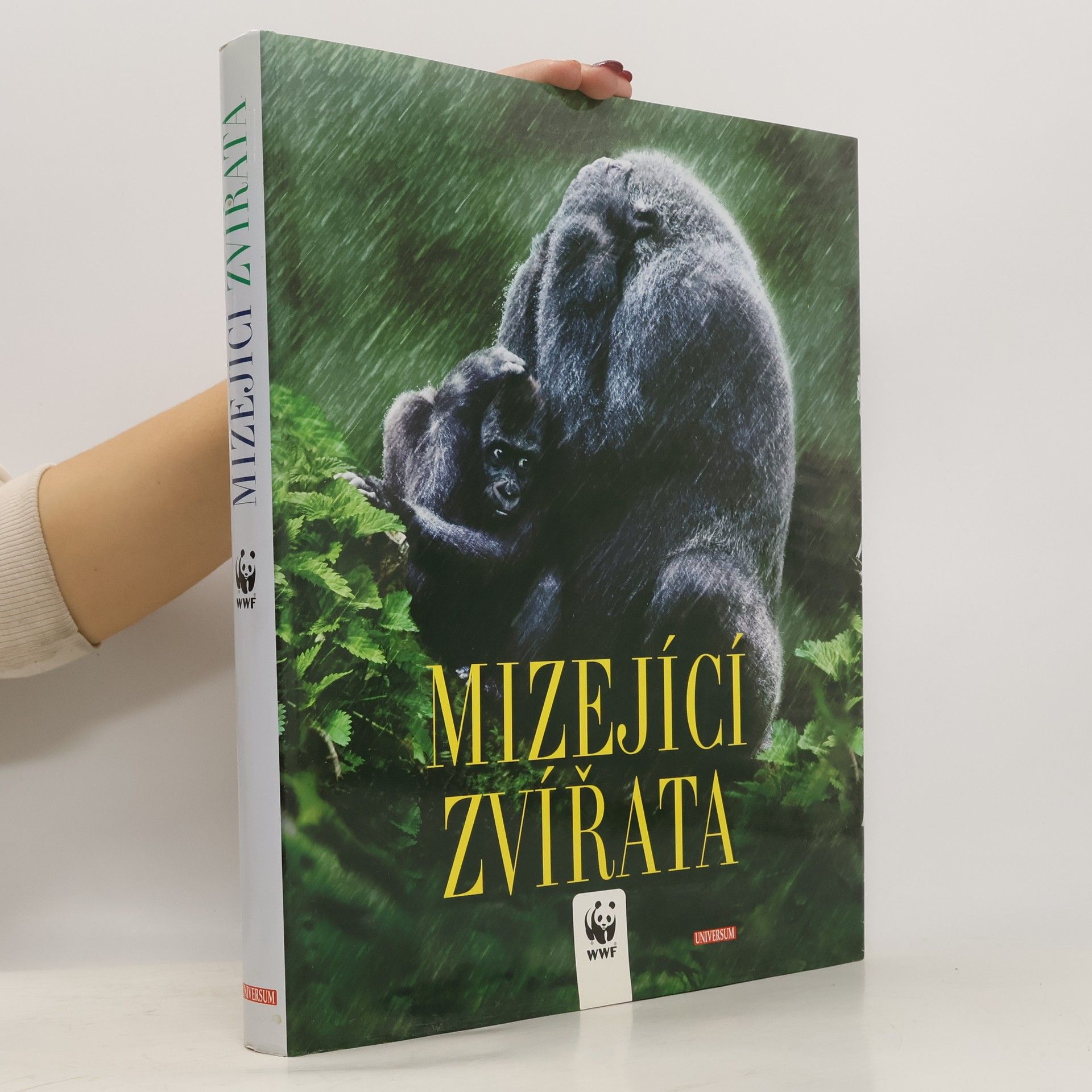 Valeria Manferto De Fabianis Mizející zvířata