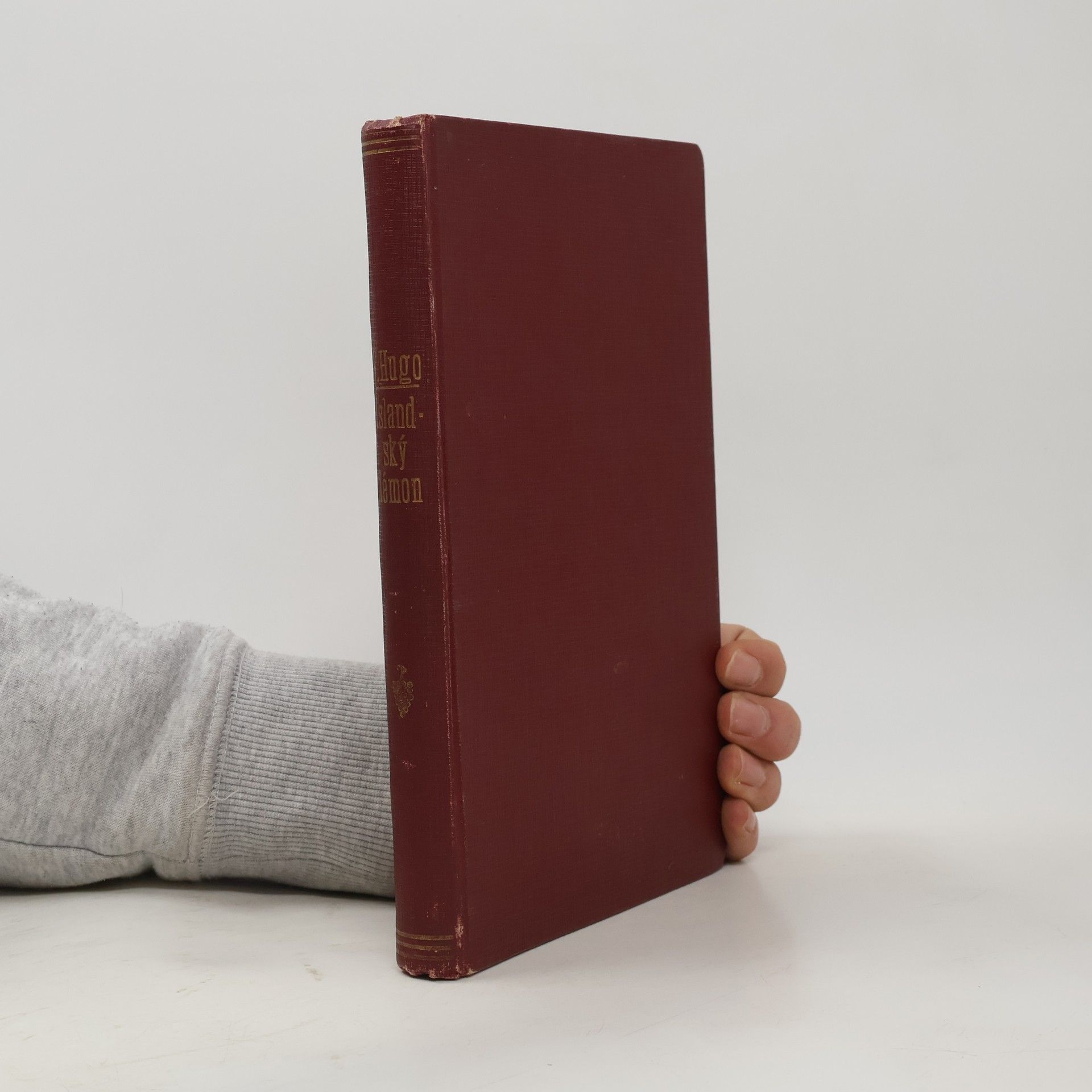 Victor Hugo Islandský démon