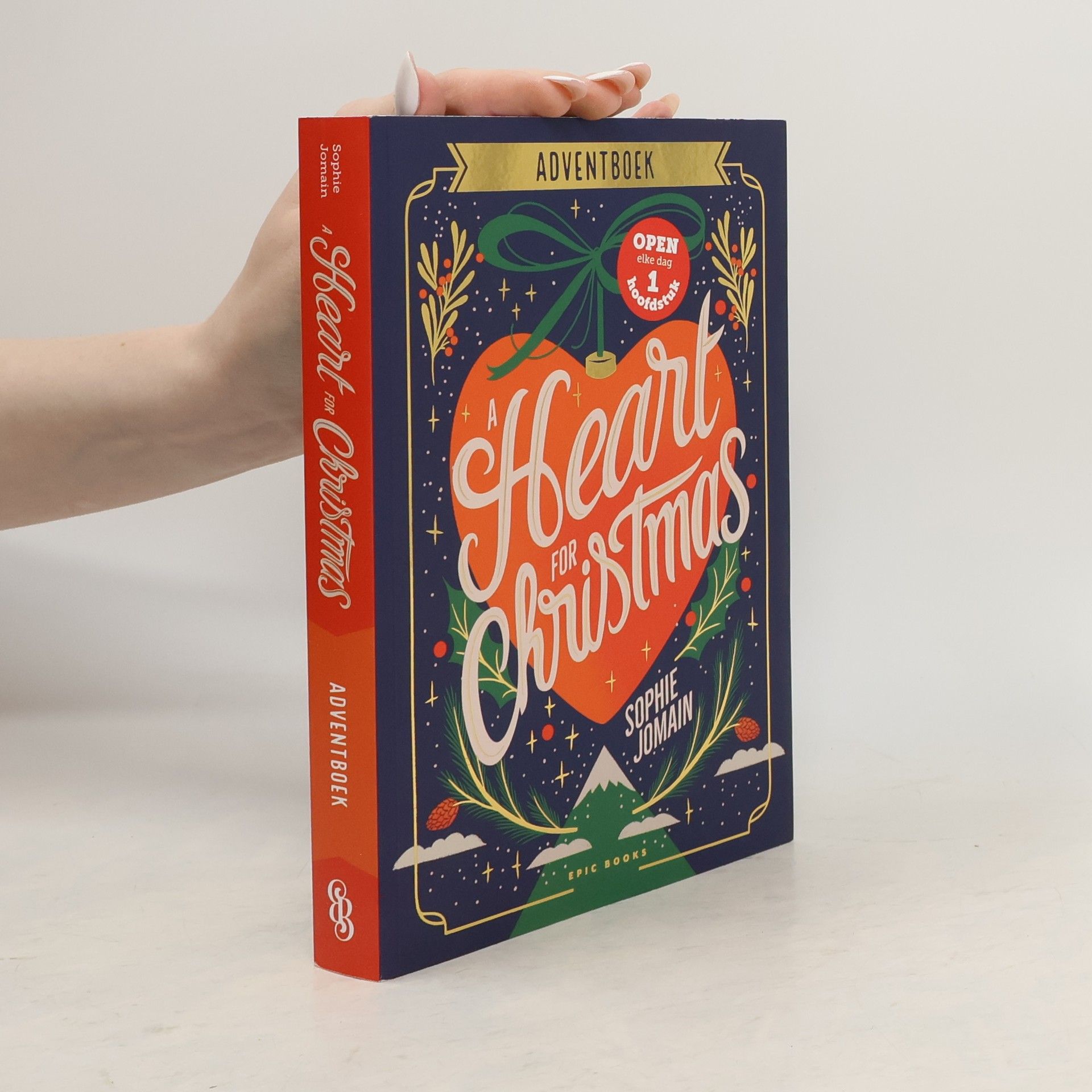Adventboek: A Heart for Christmas