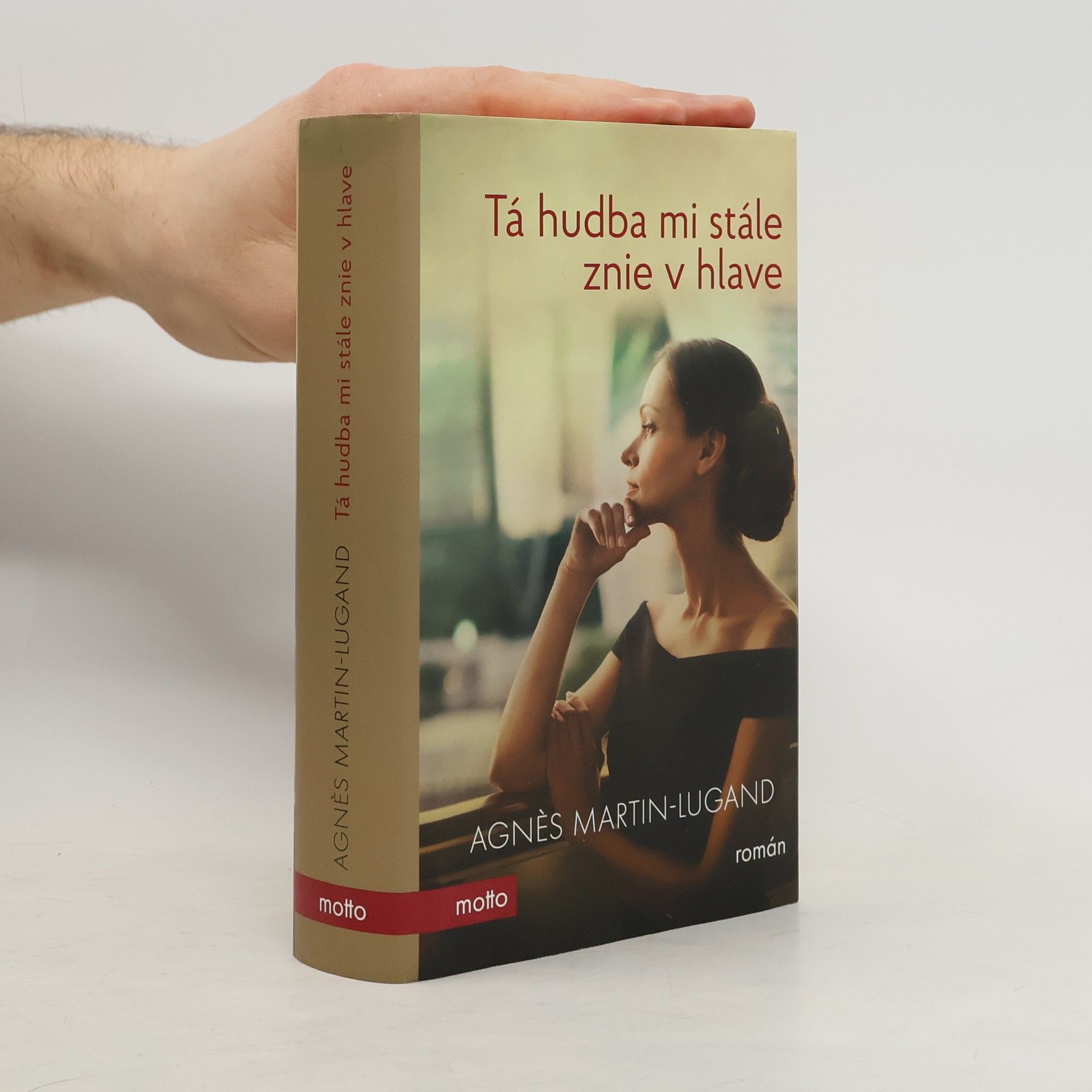 Agnès Martin-Lugand Tá hudba mi stále znie v hlave