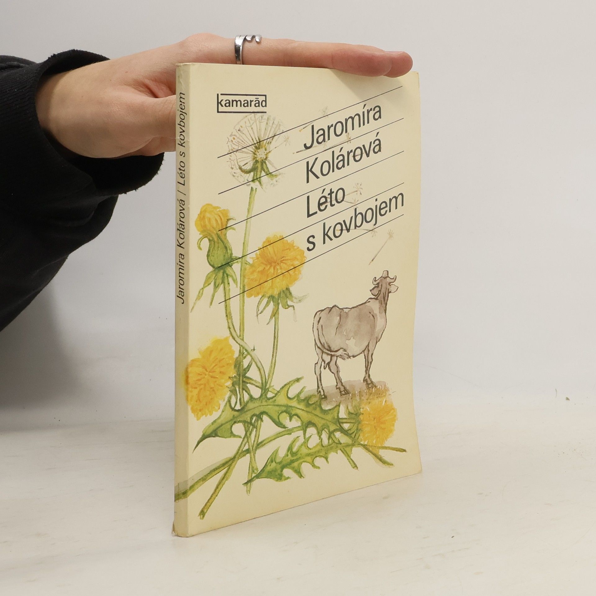 Jaromíra Kolárová Léto s kovbojem