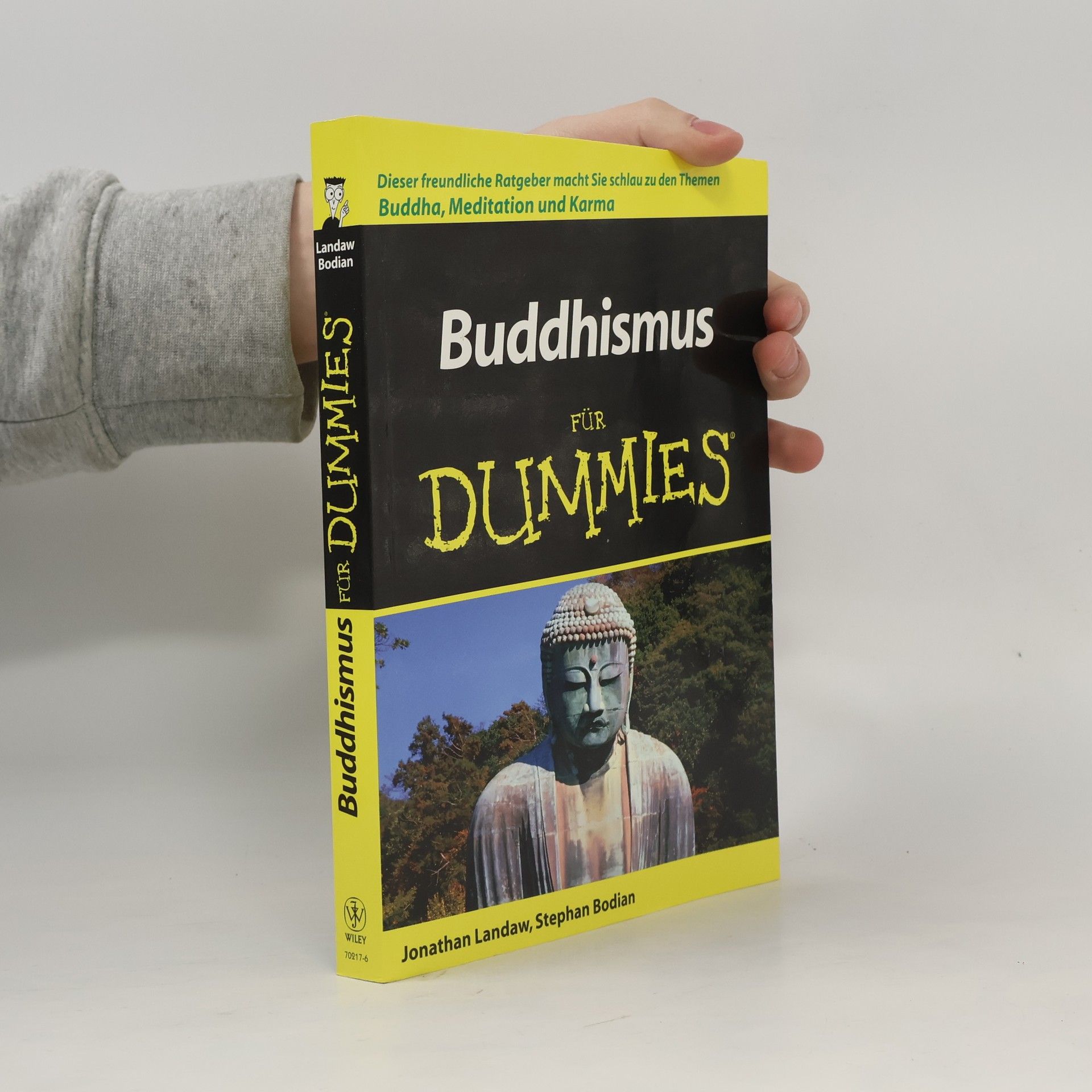 Jonathan Landaw Buddhismus für Dummies