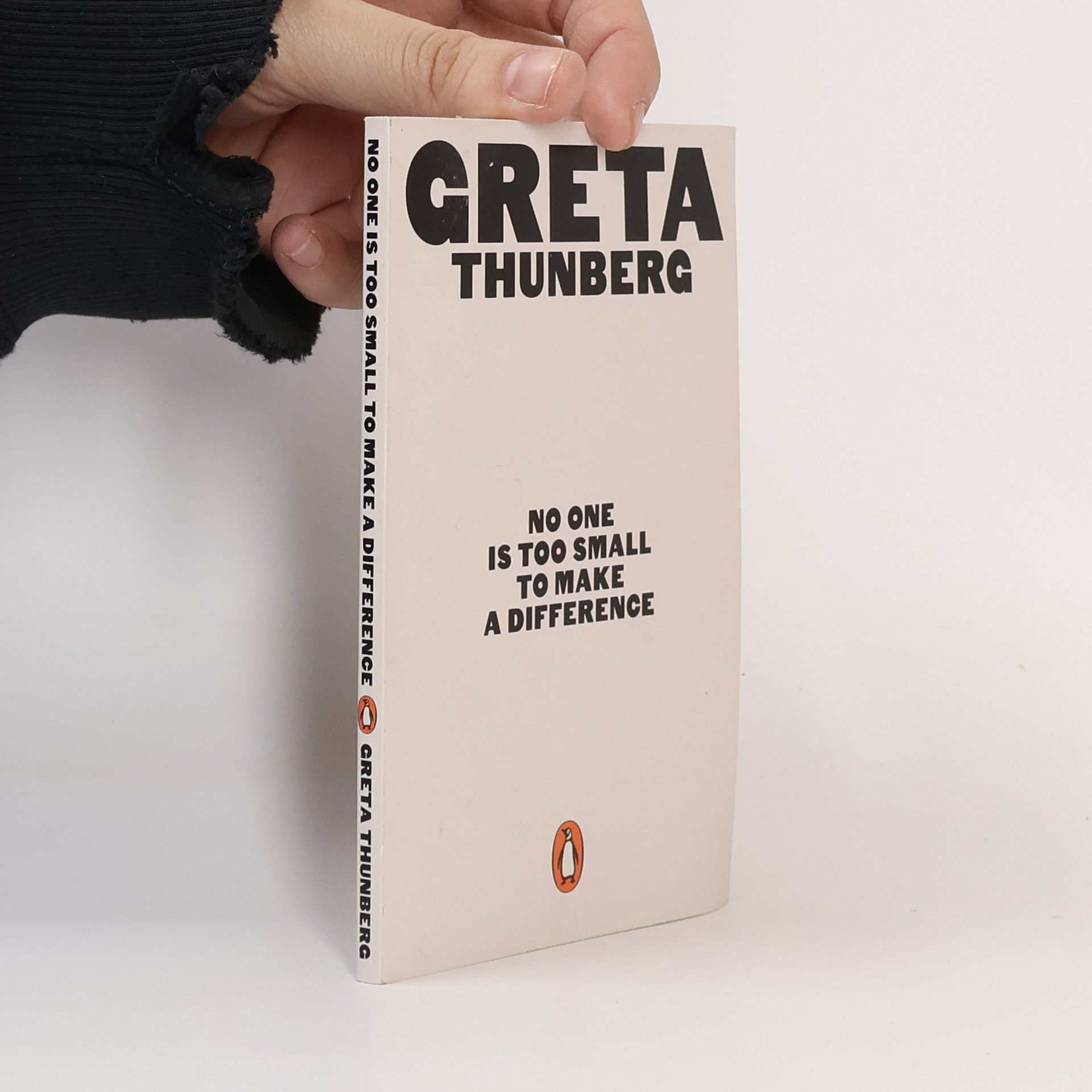 Greta Thunberg No One Is Too Small to Make a Difference