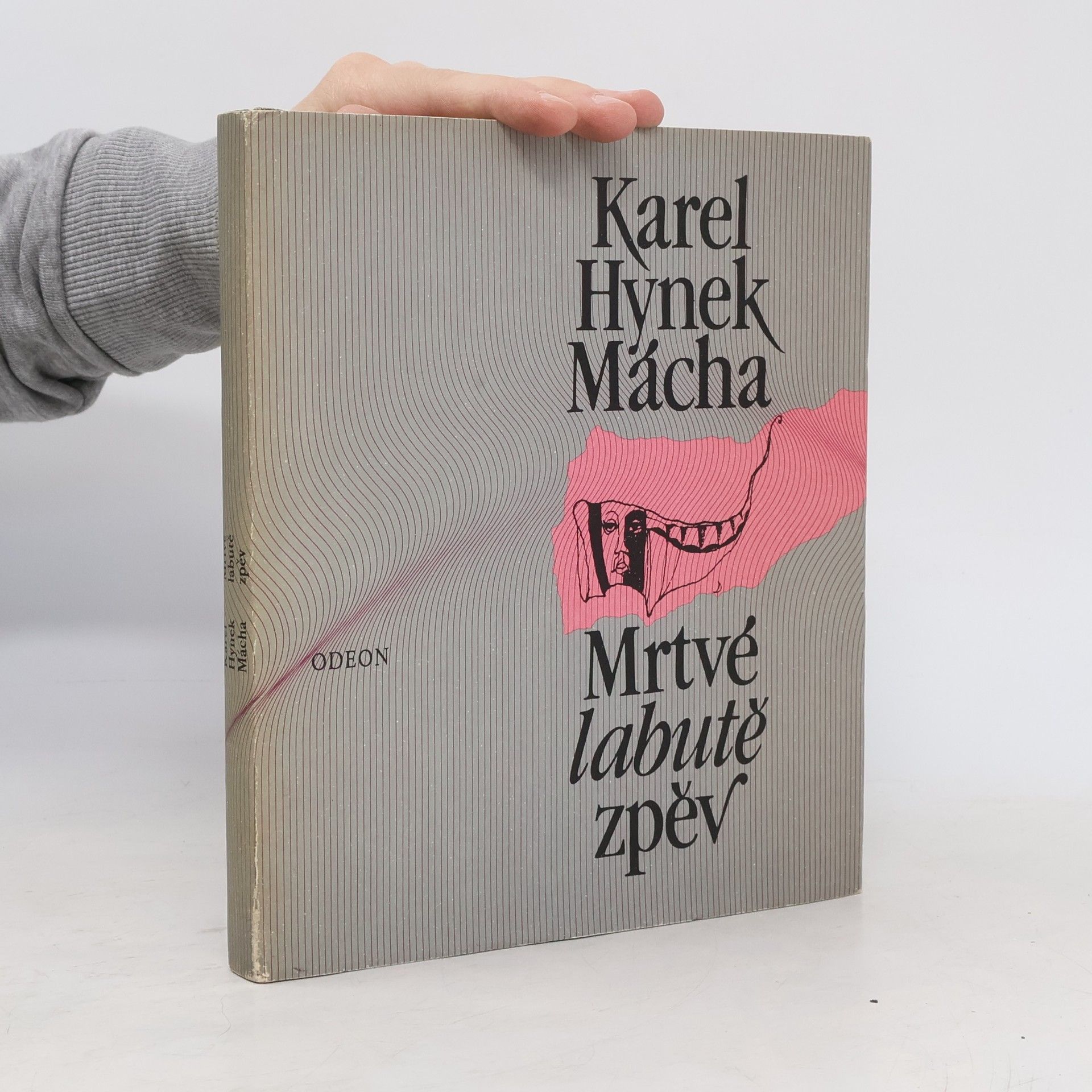 Karel Hynek Mácha Mrtvé labutě zpěv